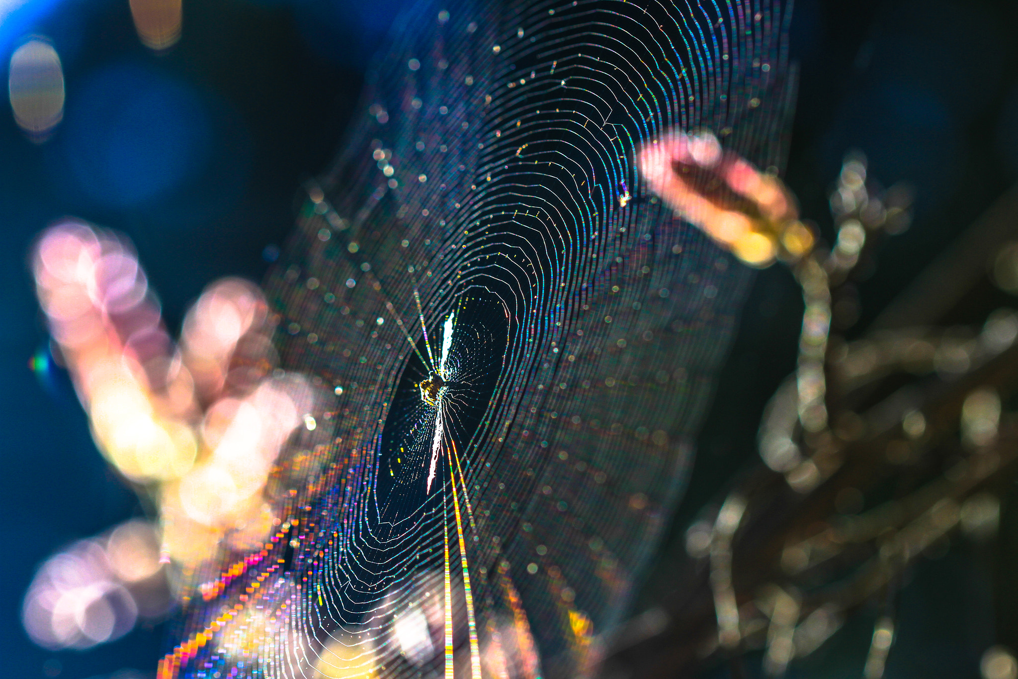 Canon EF 100mm F2.8 Macro USM sample photo. Prison of prisms photography
