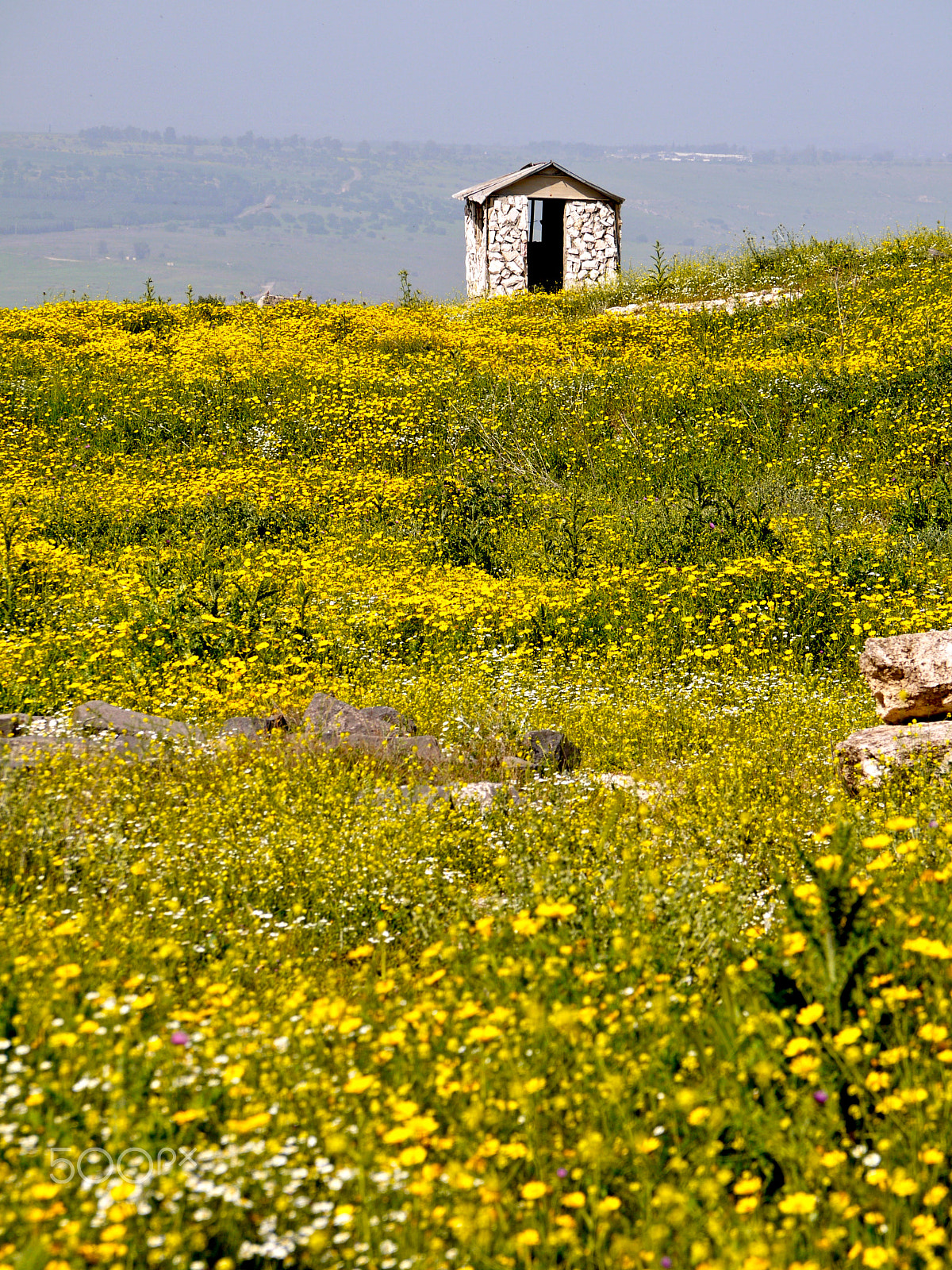 Panasonic Lumix G Vario 45-200mm F4-5.6 OIS sample photo. Jordan in spring - umm qais photography