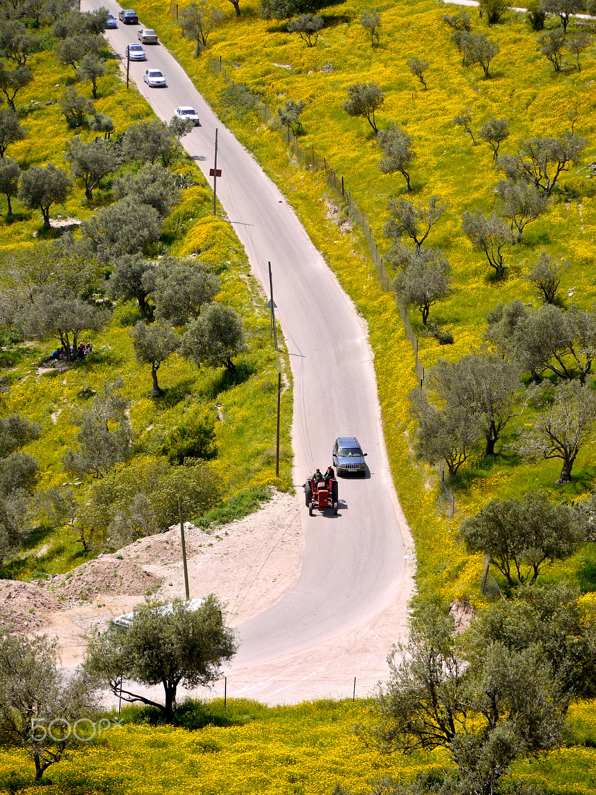 Panasonic Lumix DMC-G1 sample photo. Jordan in spring - umm qais photography