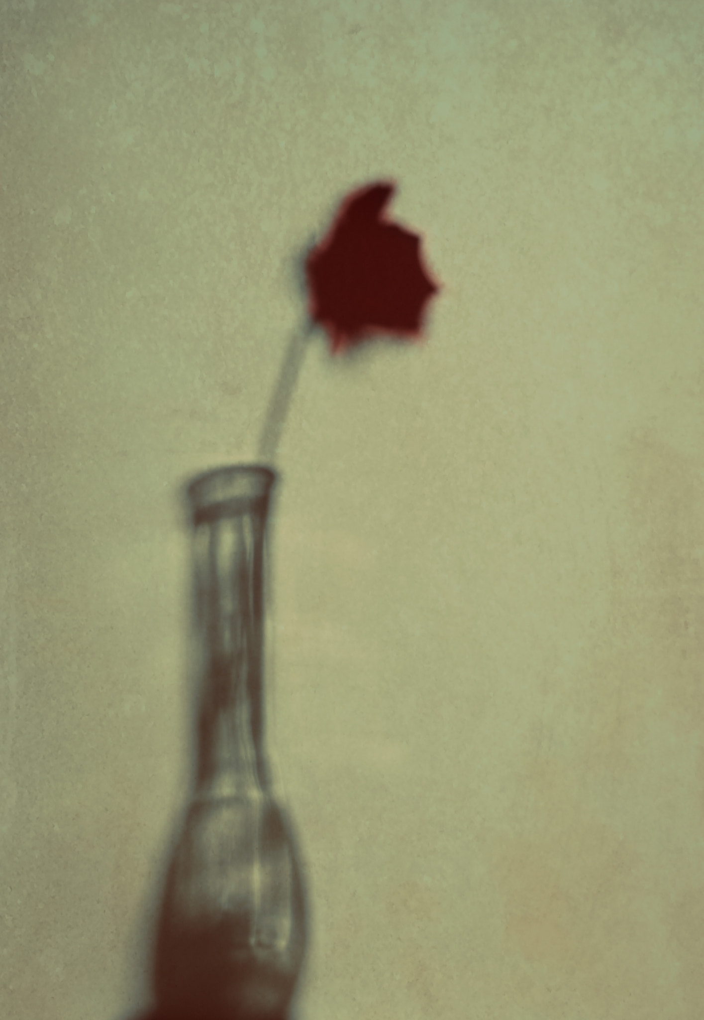 Sony a7 II sample photo. Rose vase photography