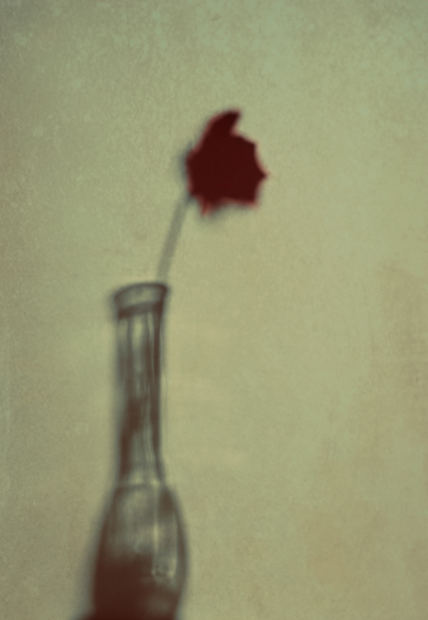 Tamron SP AF 90mm F2.8 Di Macro sample photo. Rose vase photography