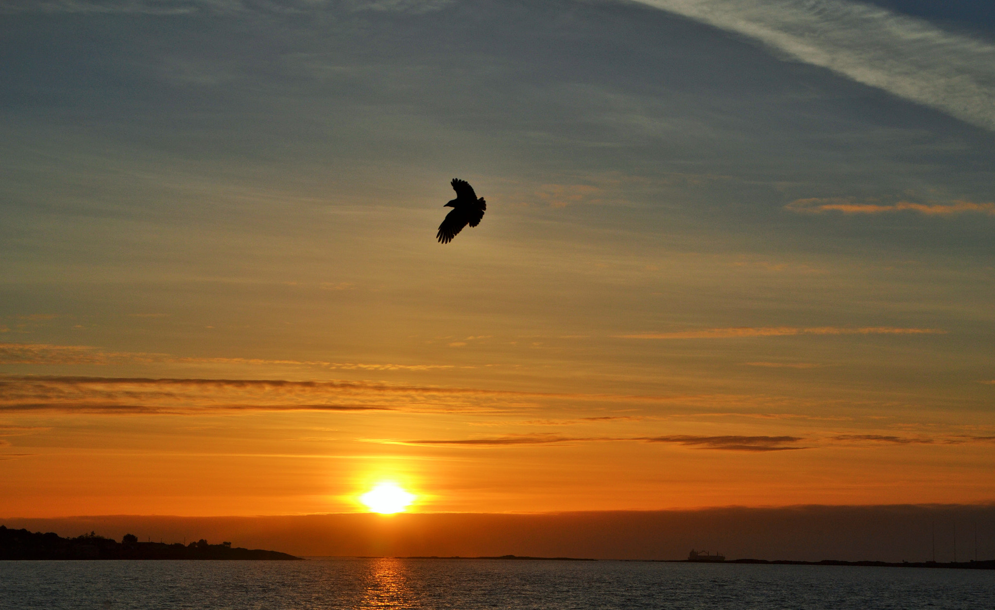 Nikon D3100 sample photo. Morning flight photography