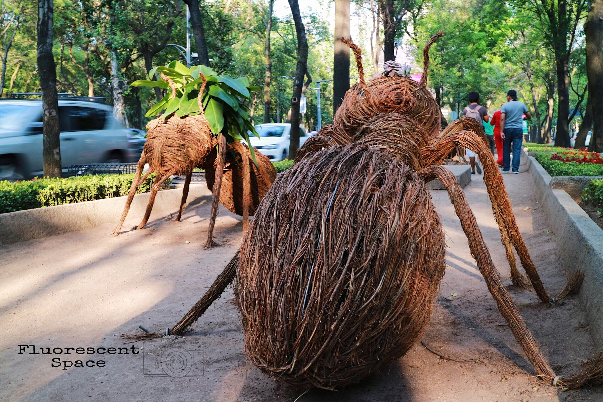 Canon EOS M3 sample photo. Sigue a las hormigas photography