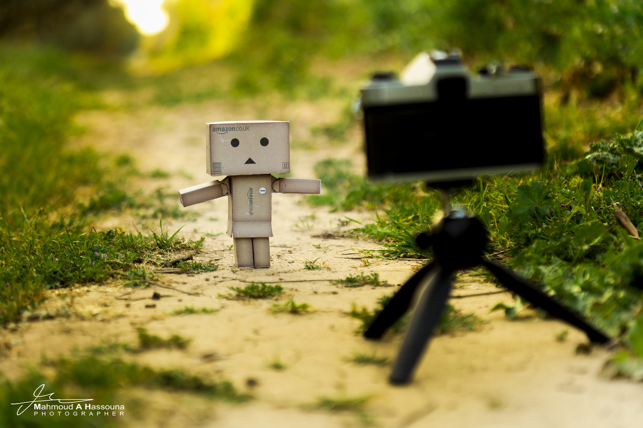Canon EOS 5DS R sample photo. Danbo photography