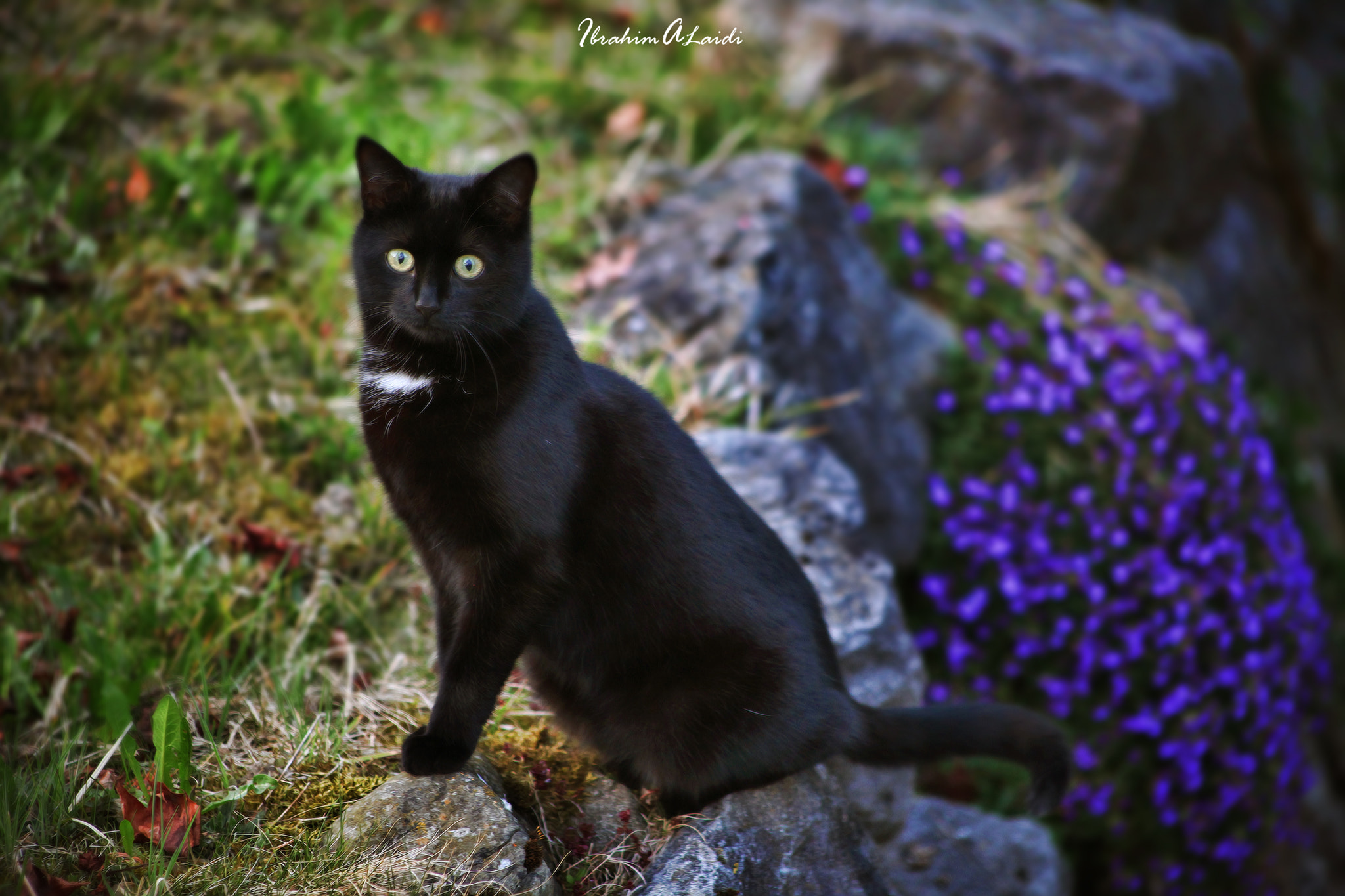 EF75-300mm f/4-5.6 sample photo