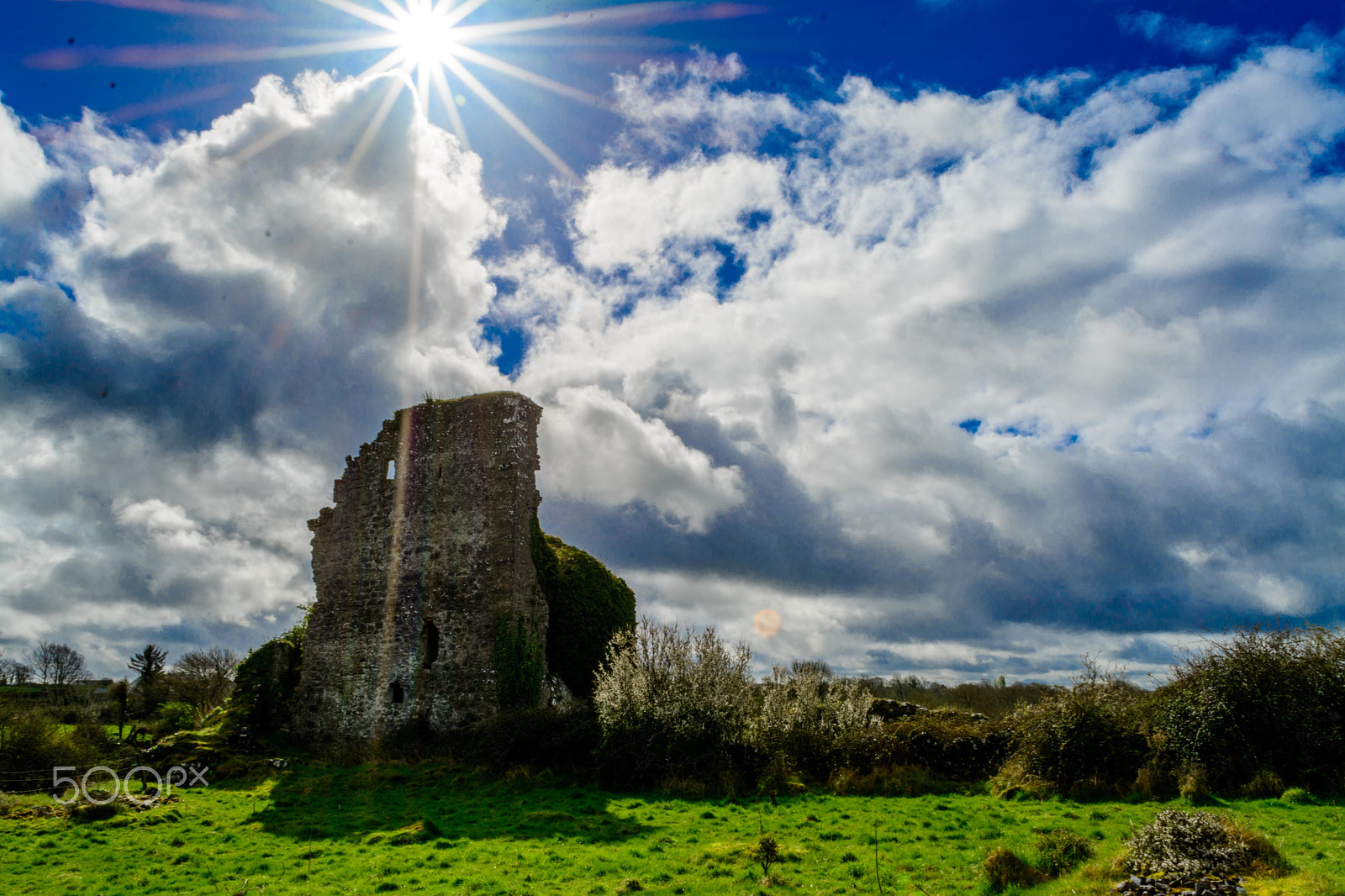Nikon D7100 sample photo. Kiltartan castle photography