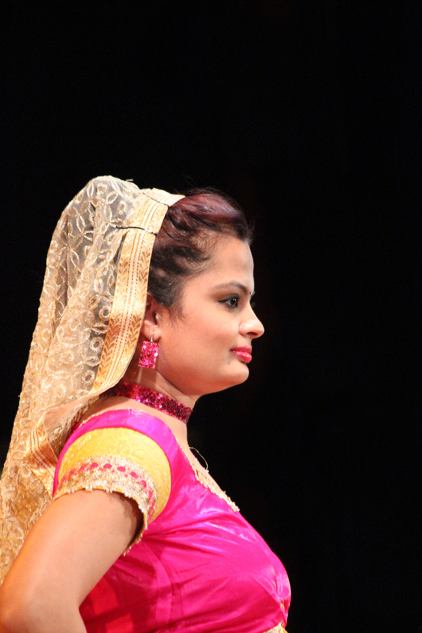 Canon EF-S 55-250mm F4-5.6 IS sample photo. Manisha photography