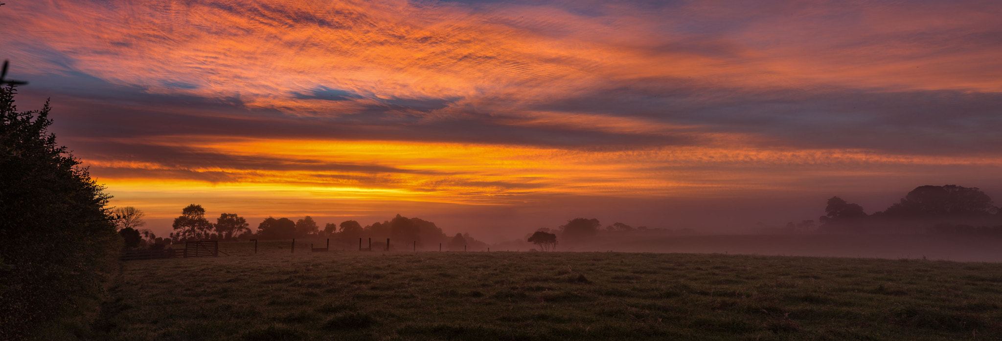 Canon EOS 6D + Sigma 24-70mm F2.8 EX DG Macro sample photo. Sunrise in pukekawa photography