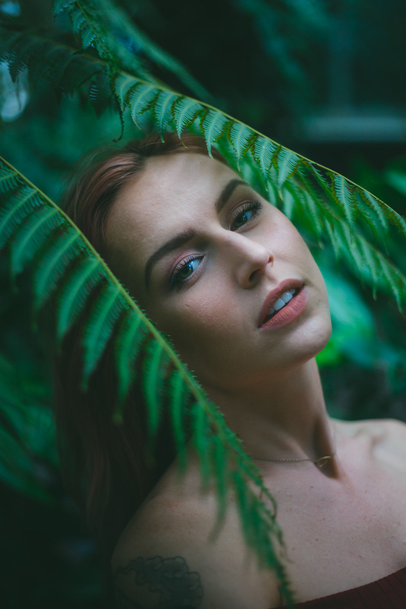 Canon EF 50mm F1.8 II sample photo. Foliage photography