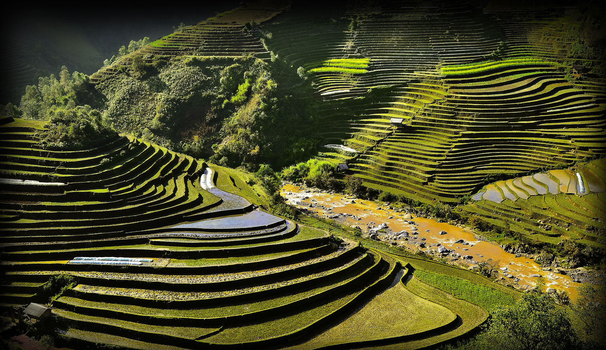 Nikon D7000 sample photo. Rice terraces. photography