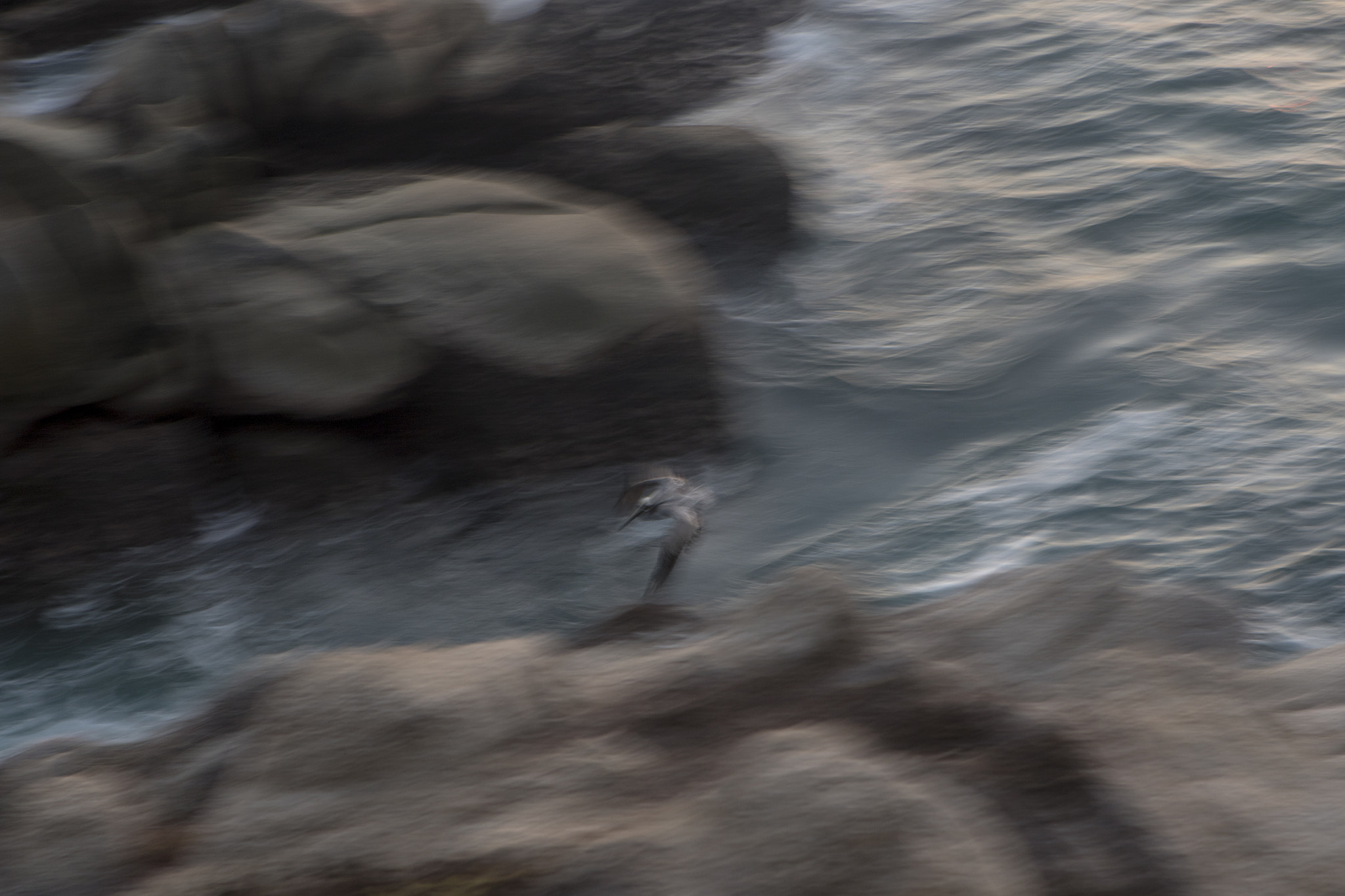 Canon EF 24-70mm F2.8L USM sample photo. Mg photography