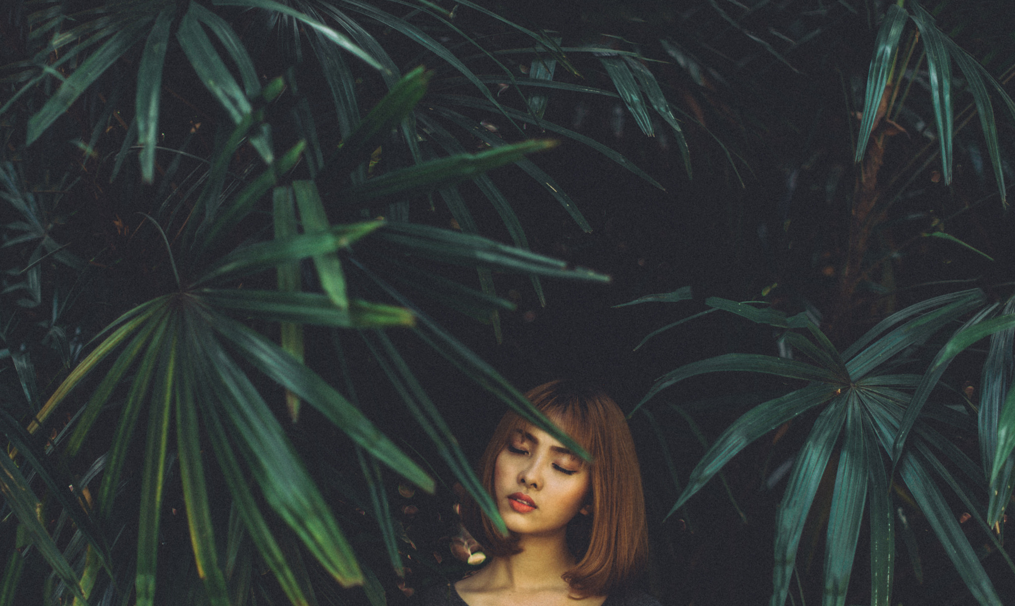 Nikon D700 + Nikon AF-S Nikkor 50mm F1.4G sample photo. Mơ... photography