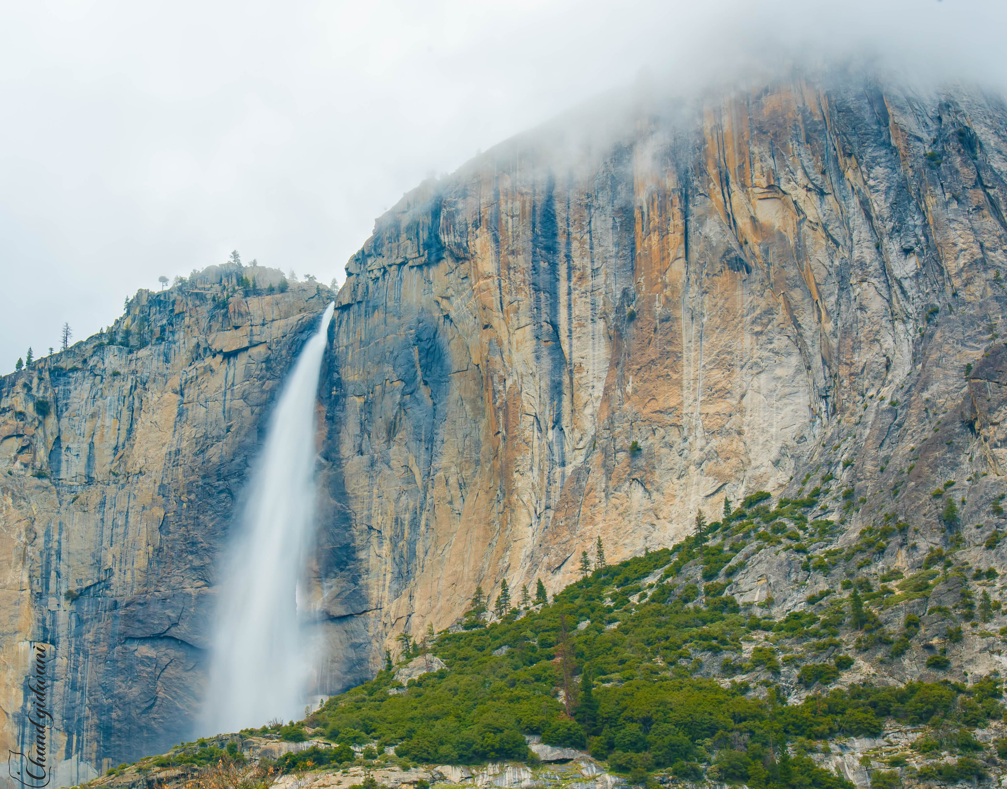 Nikon D810 sample photo. Yosemite falls in the morning fog photography