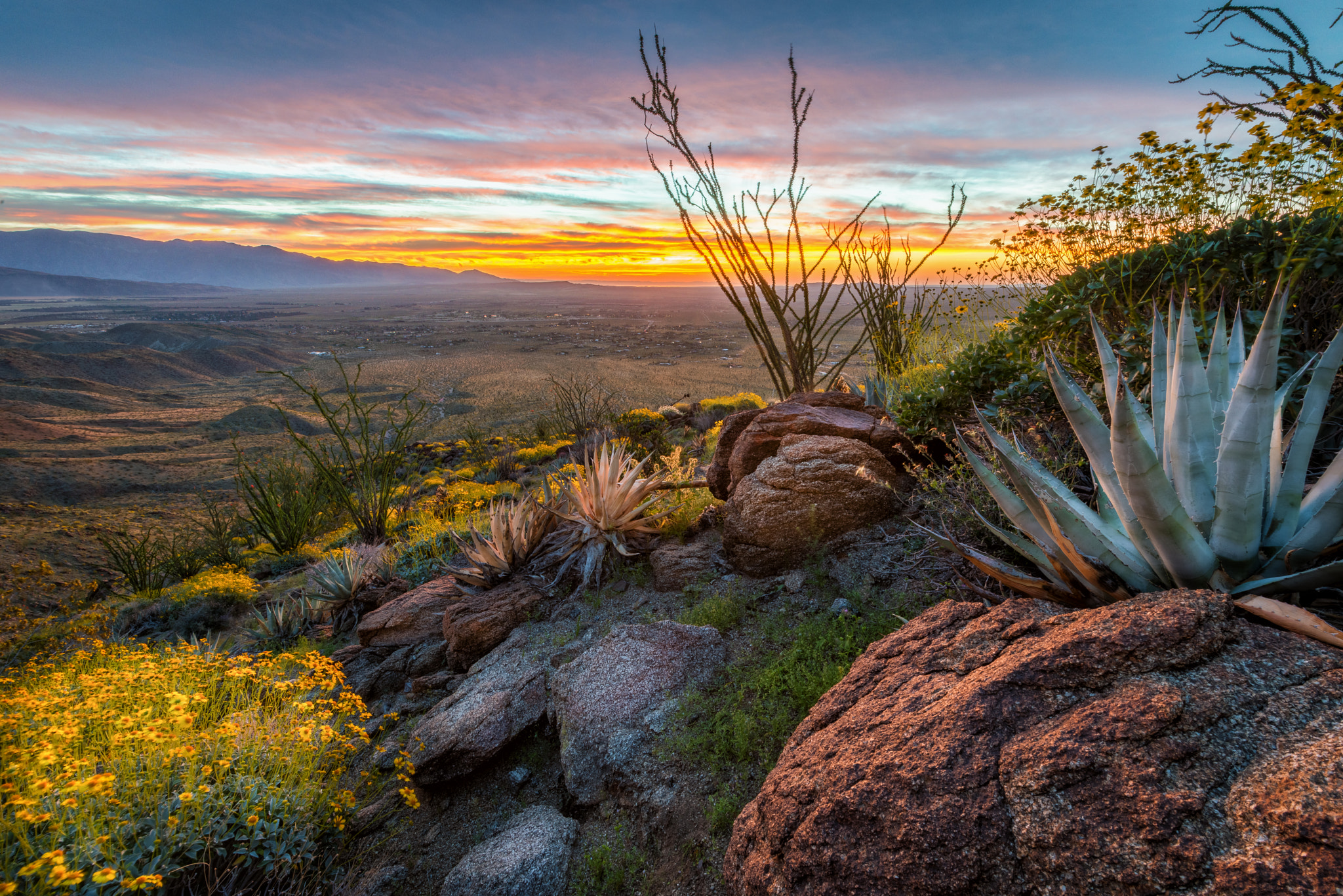 Nikon AF-S Nikkor 16-35mm F4G ED VR sample photo. Anza borrego desert - sunrise photography