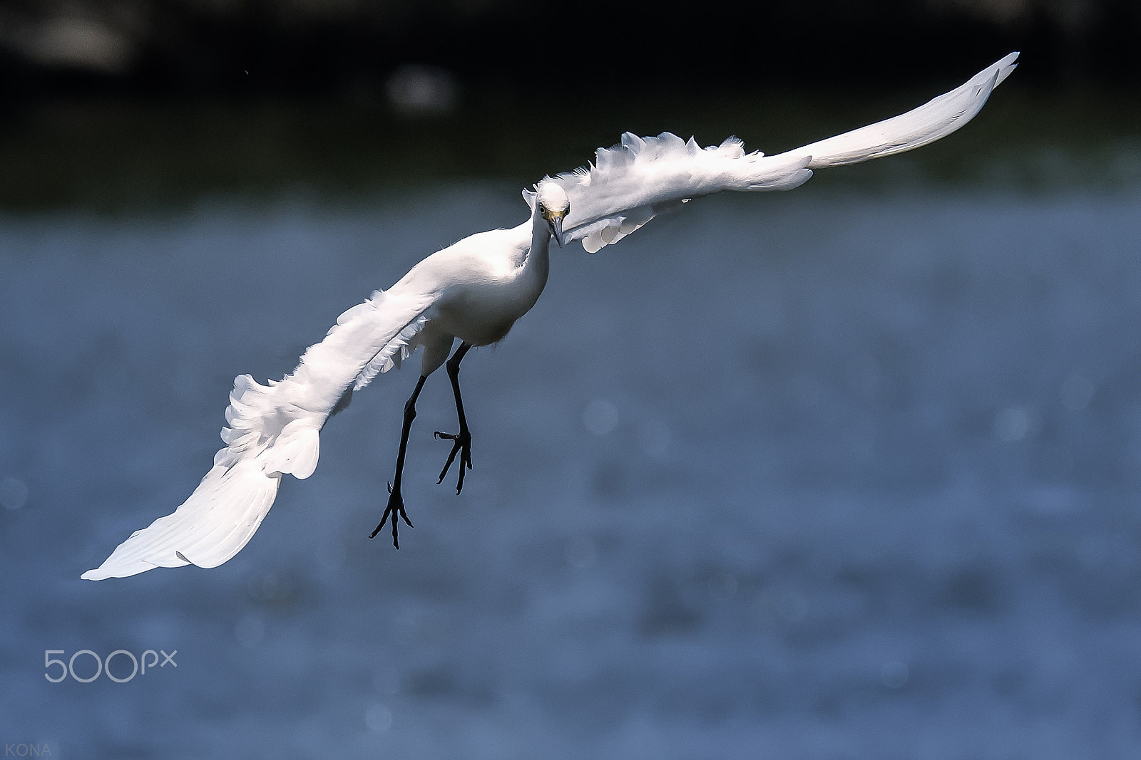 Nikon AF-S Nikkor 400mm F2.8G ED VR II sample photo. Sagi    33606796782.jpg photography