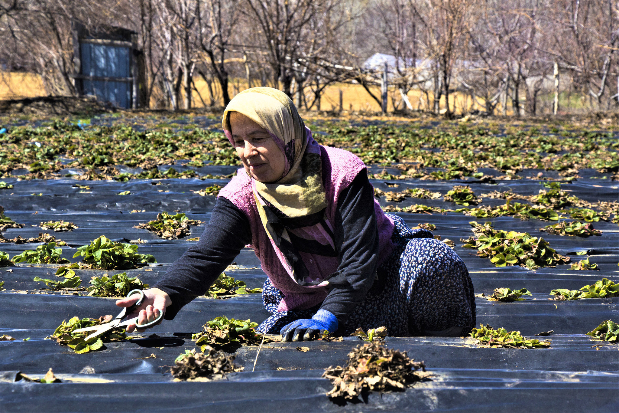 Canon EOS 60D sample photo. Field work photography