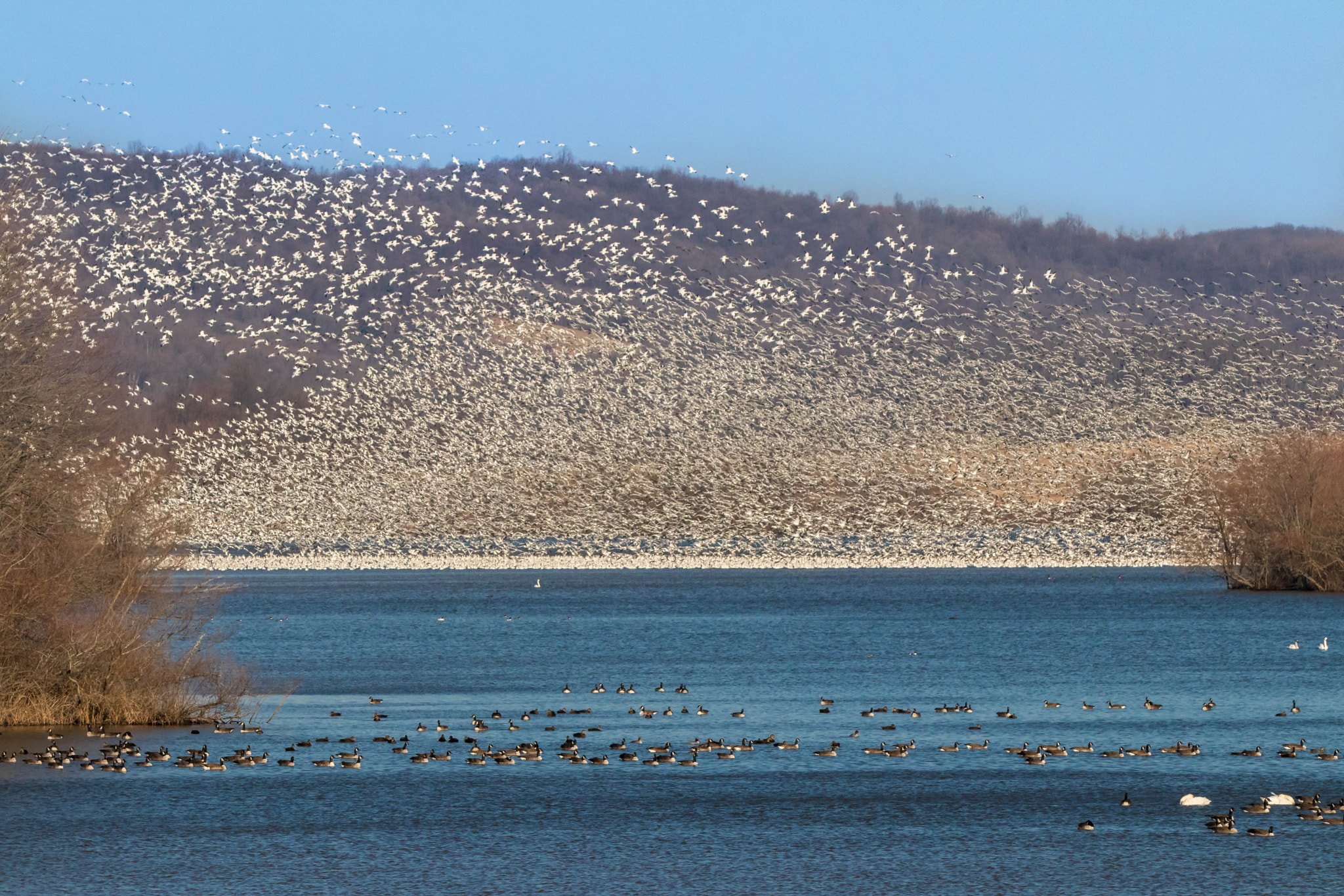 Canon EOS 80D + Canon EF 70-200mm F2.8L IS II USM sample photo. Middle creek wildlife management area, pa photography