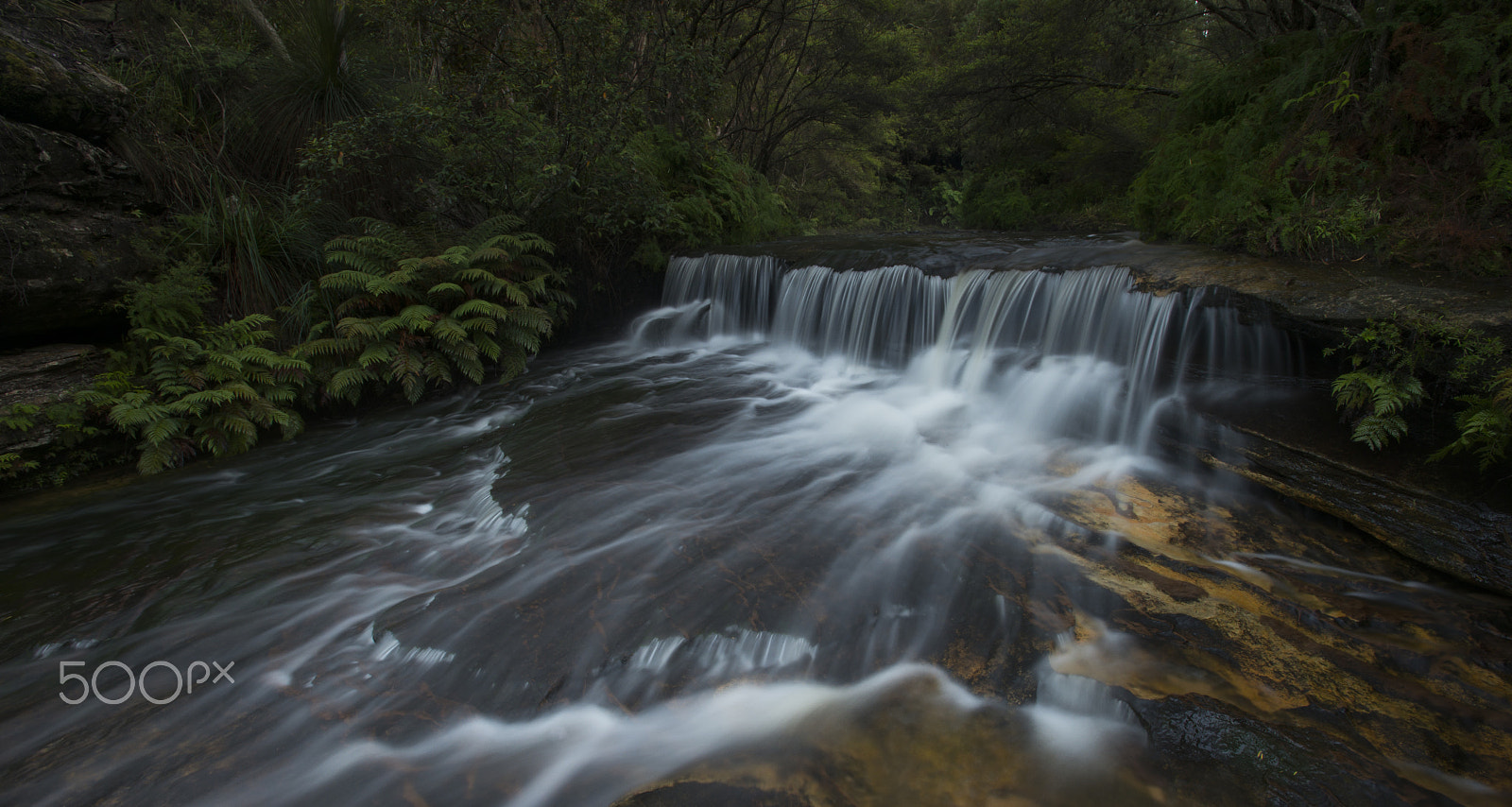 Nikon D800E sample photo. Early light. photography