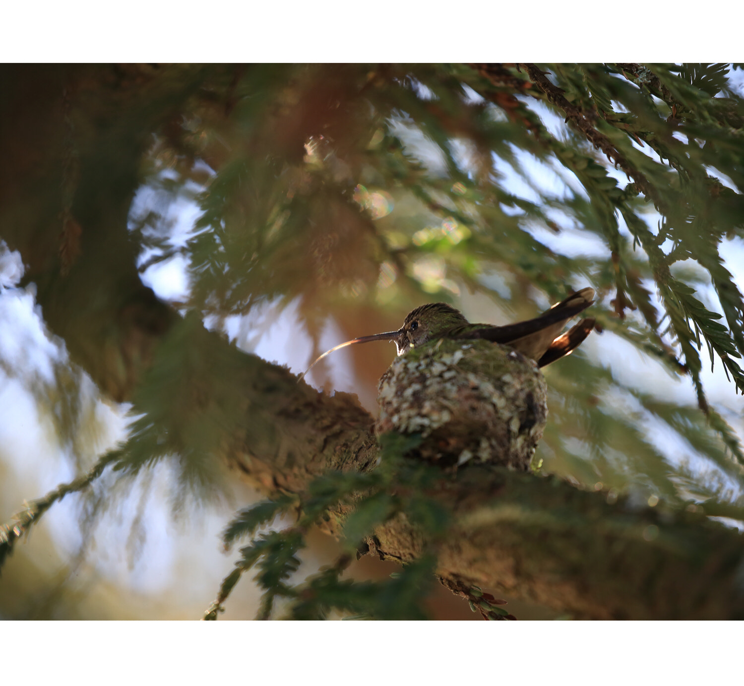 Canon EOS-1D X sample photo