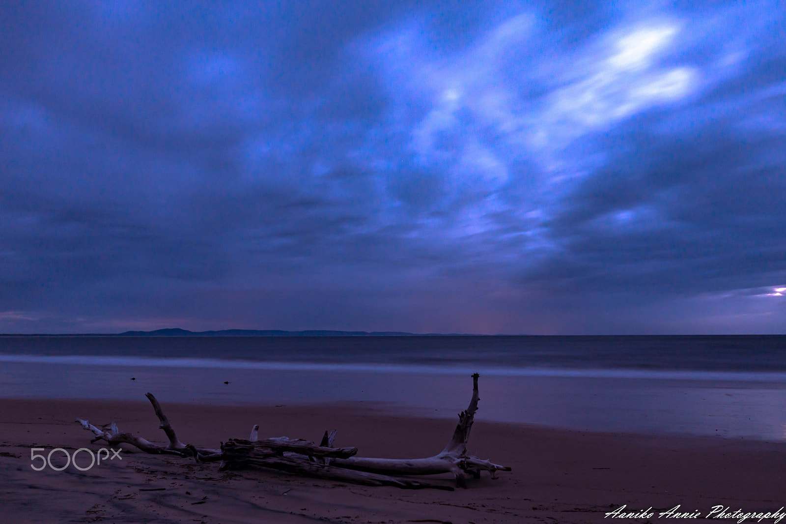 Canon EF 16-35mm F2.8L II USM sample photo. Iluka shark bay - dead tree (gloomy sunrise) photography