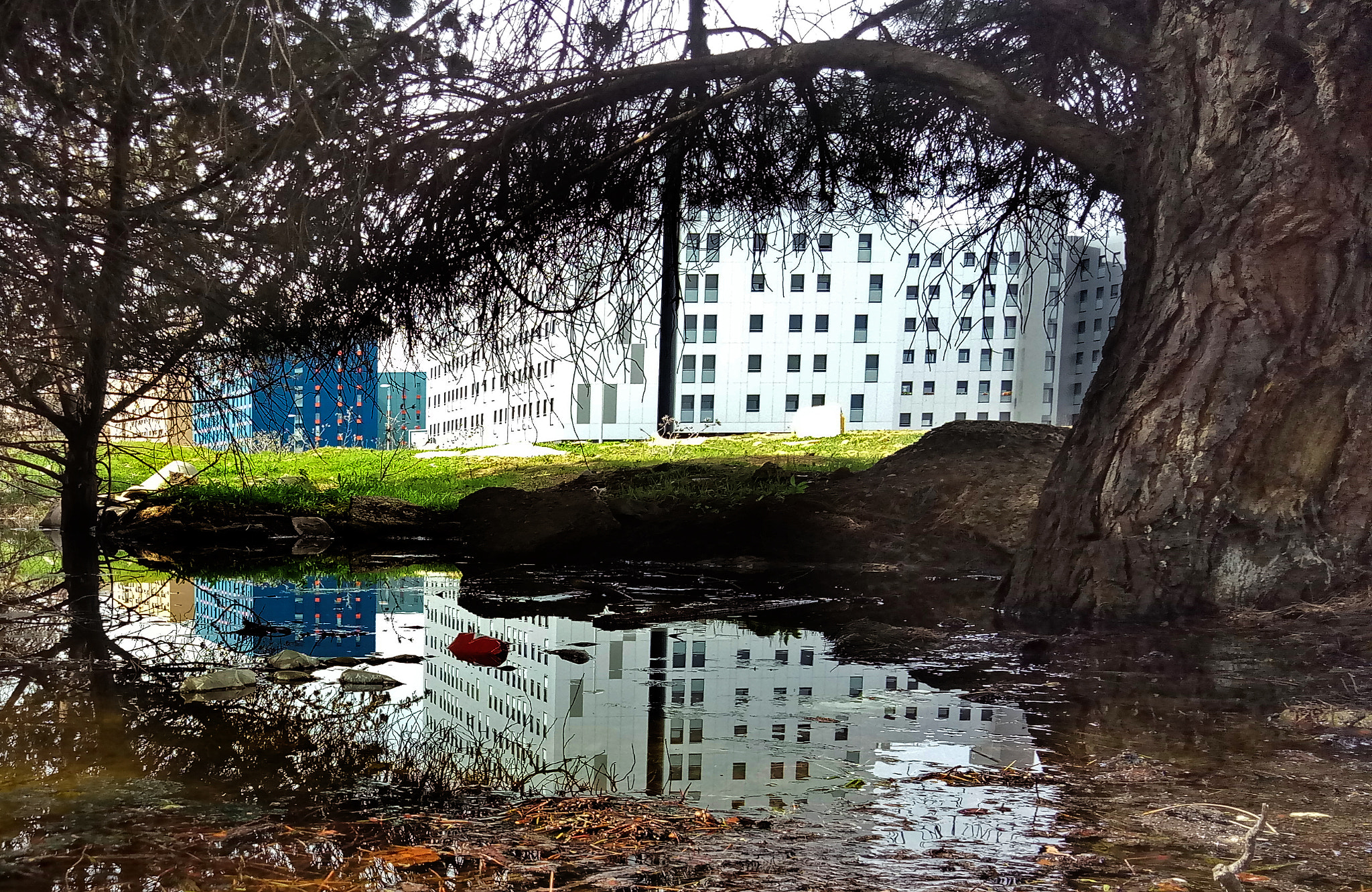 Meizu m3 note sample photo. 052 photography