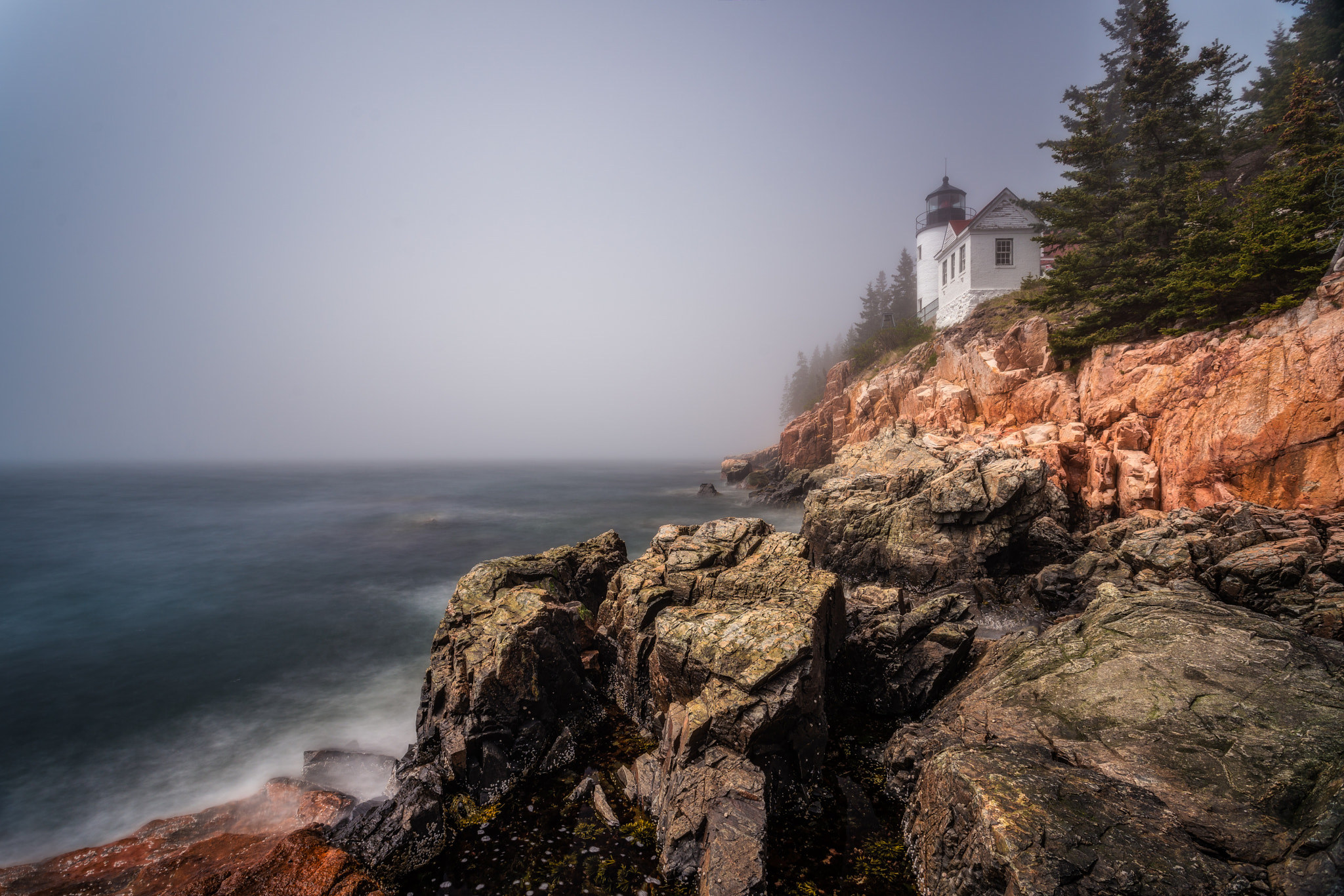 Sony a7R II + Canon EF 17-40mm F4L USM sample photo. Foggy photography