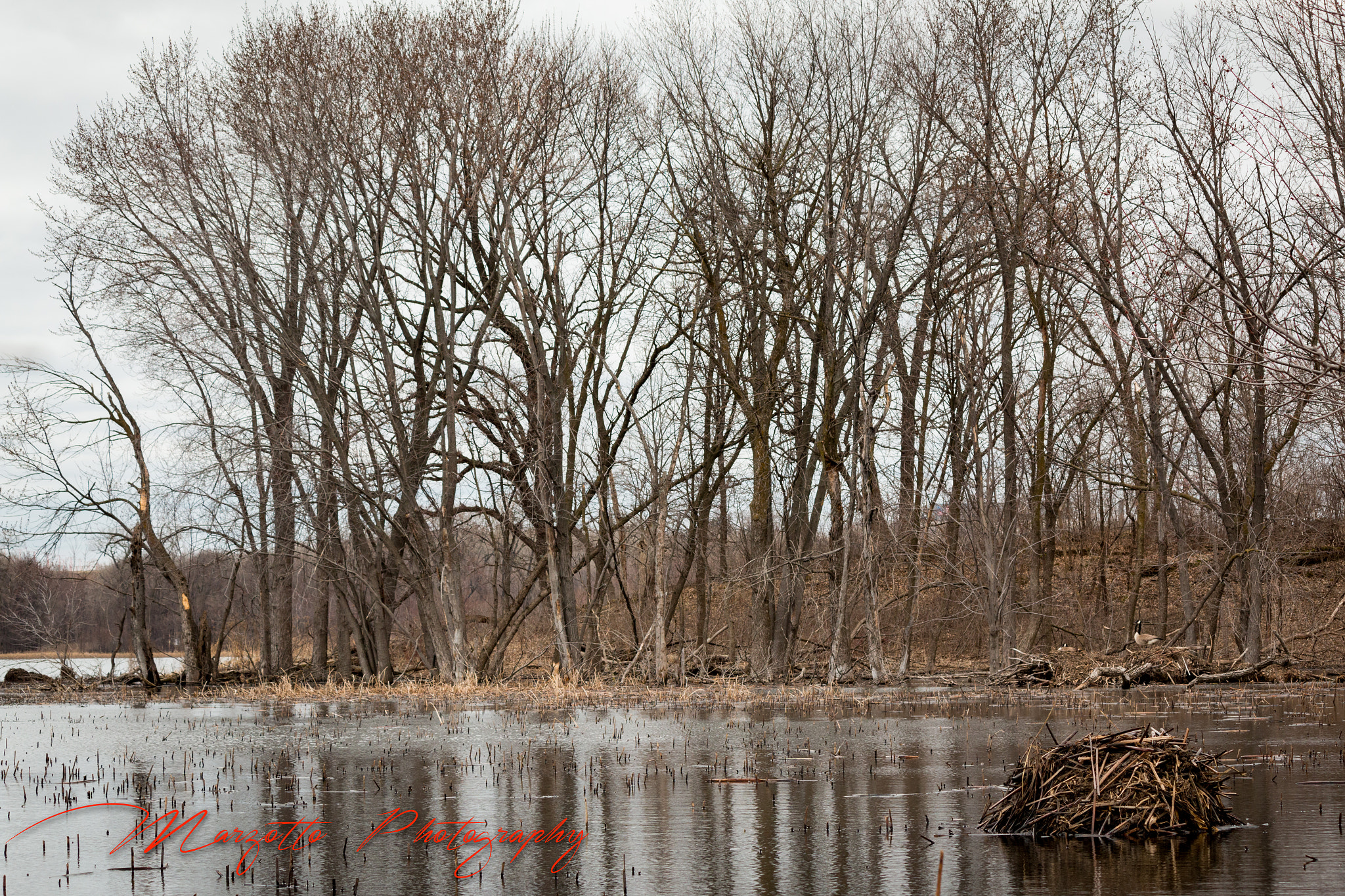 Canon EOS 70D sample photo. Lodge on the minnesota river photography