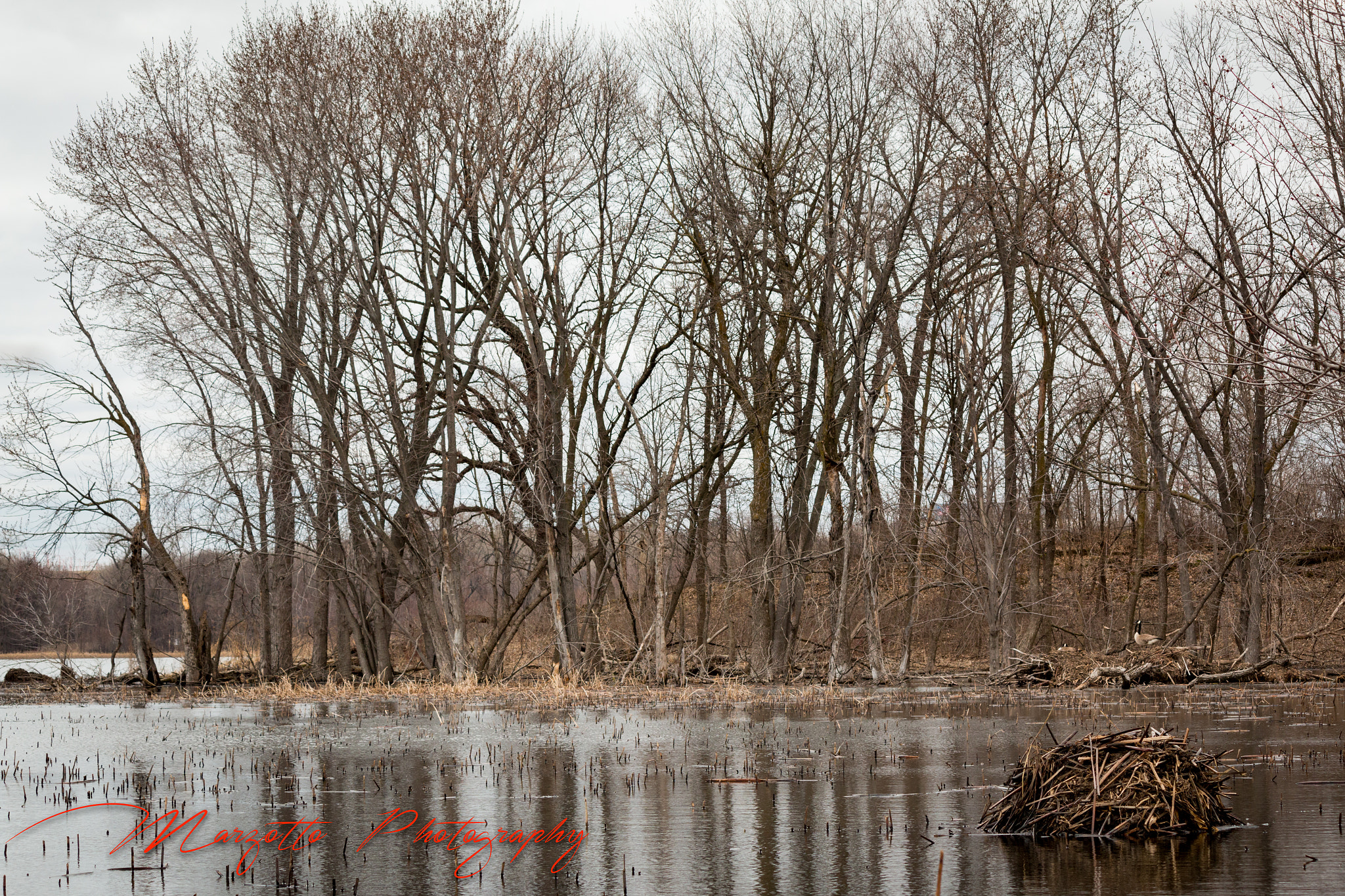 Canon EF-S 55-250mm F4-5.6 IS II sample photo. Lodge on the minnesota river photography