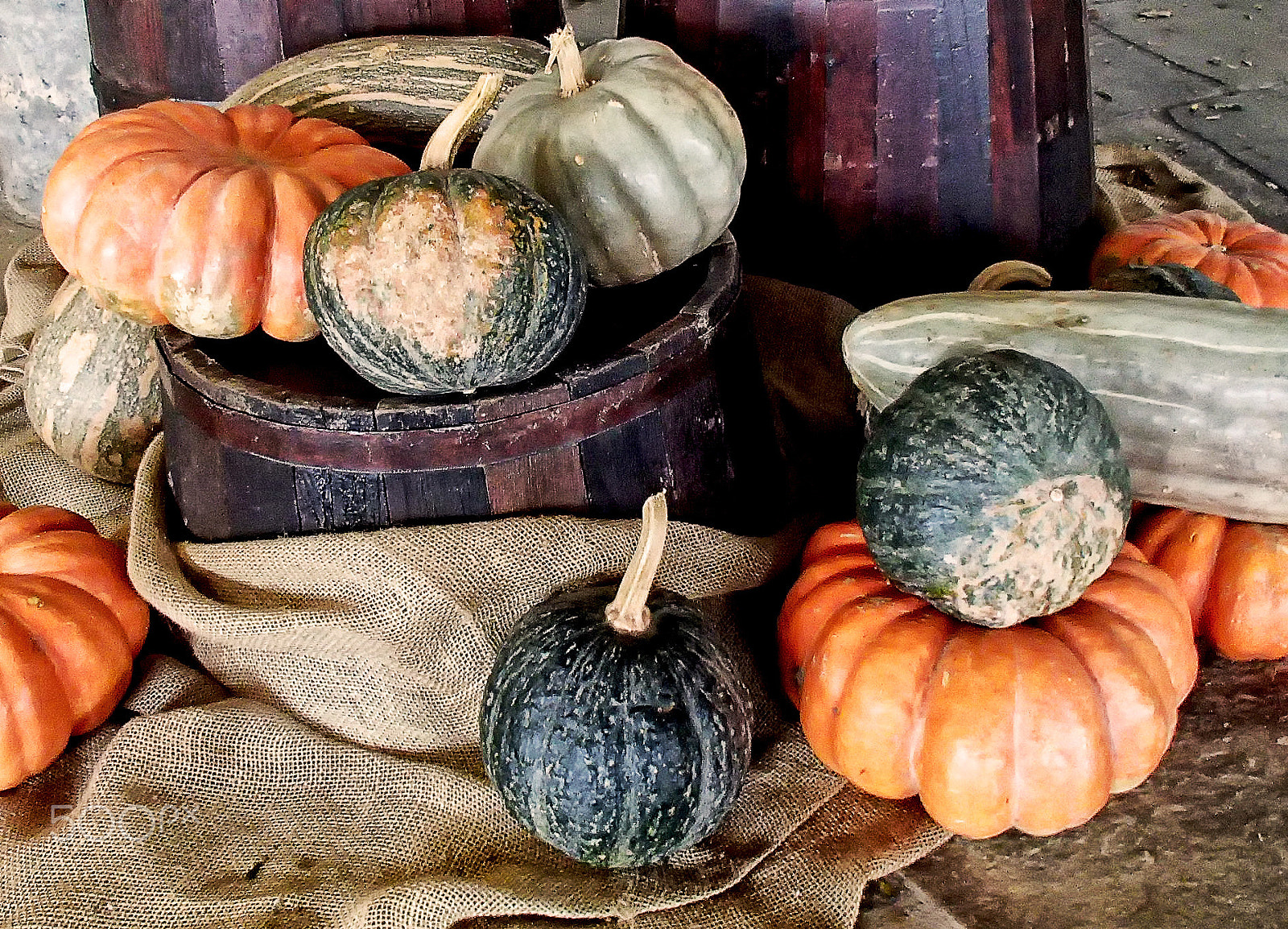 Olympus TG-620 sample photo. Abóboras (pumpkins) photography