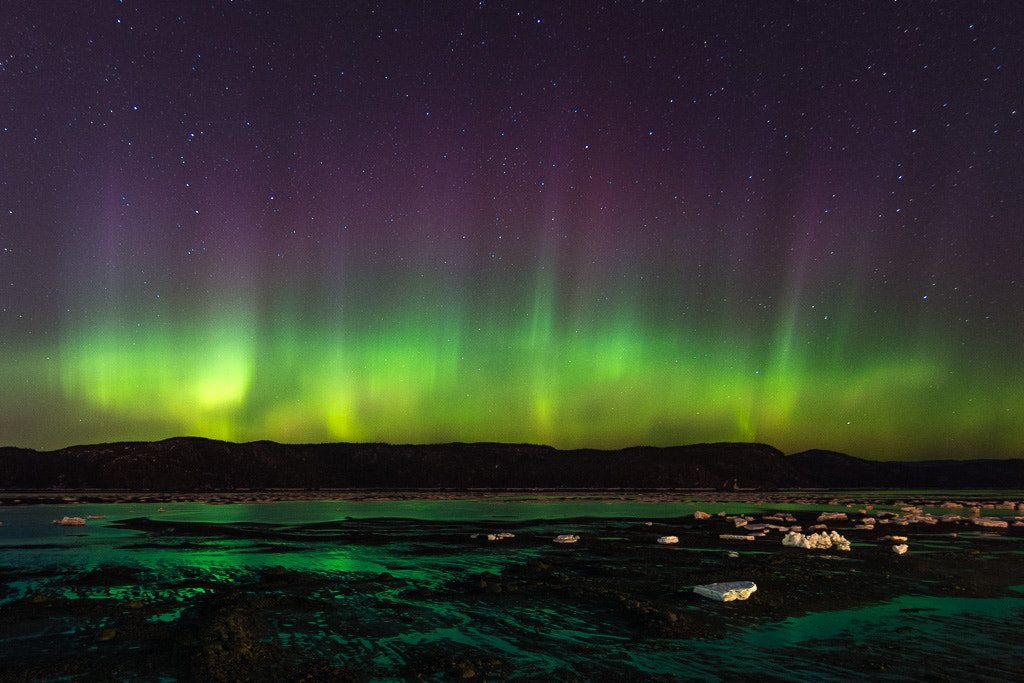 Nikon D7200 sample photo. Aurora borealis photography