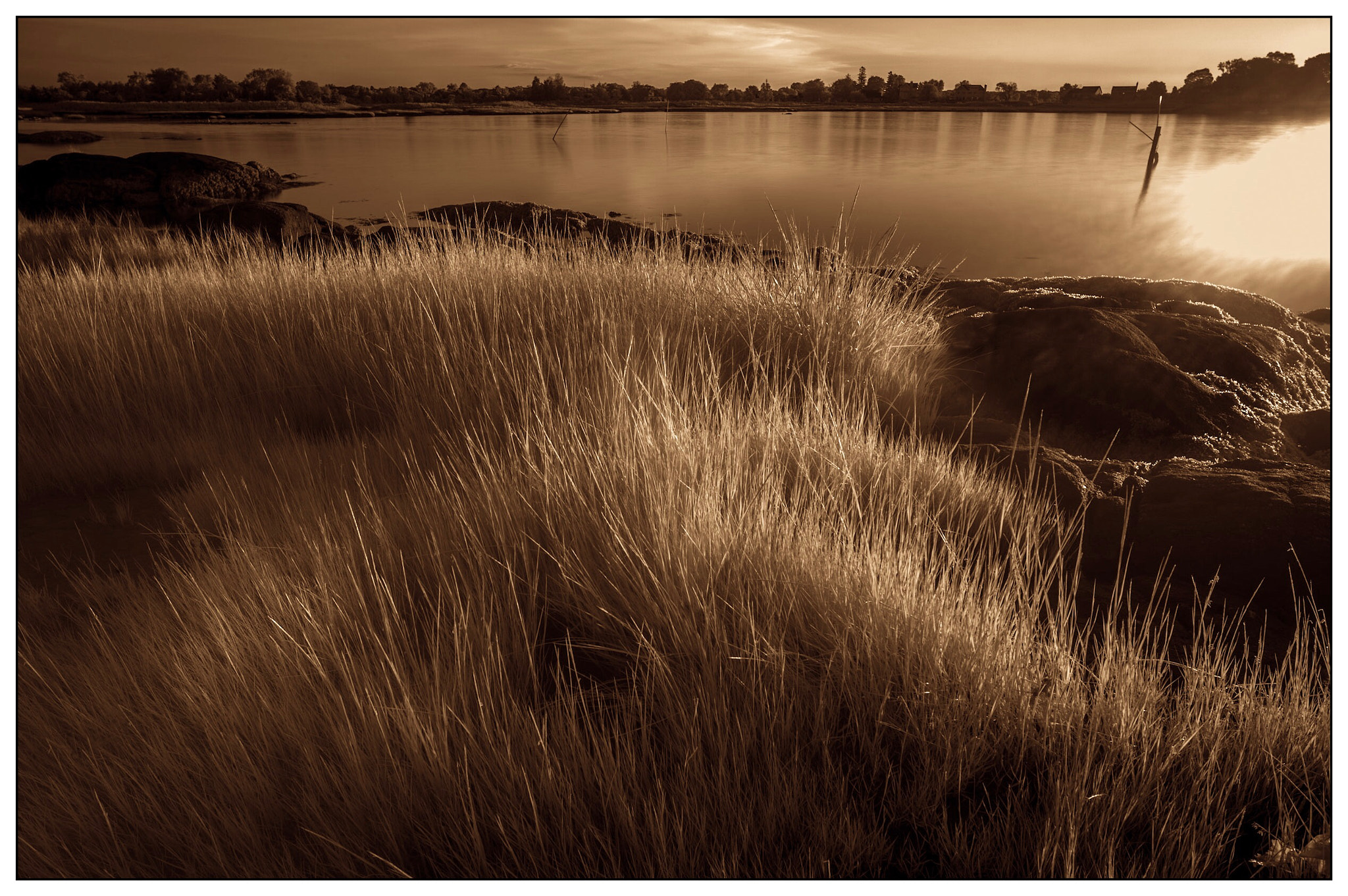 Leica M-Monochrom sample photo. Chaffinch island, connecticut photography