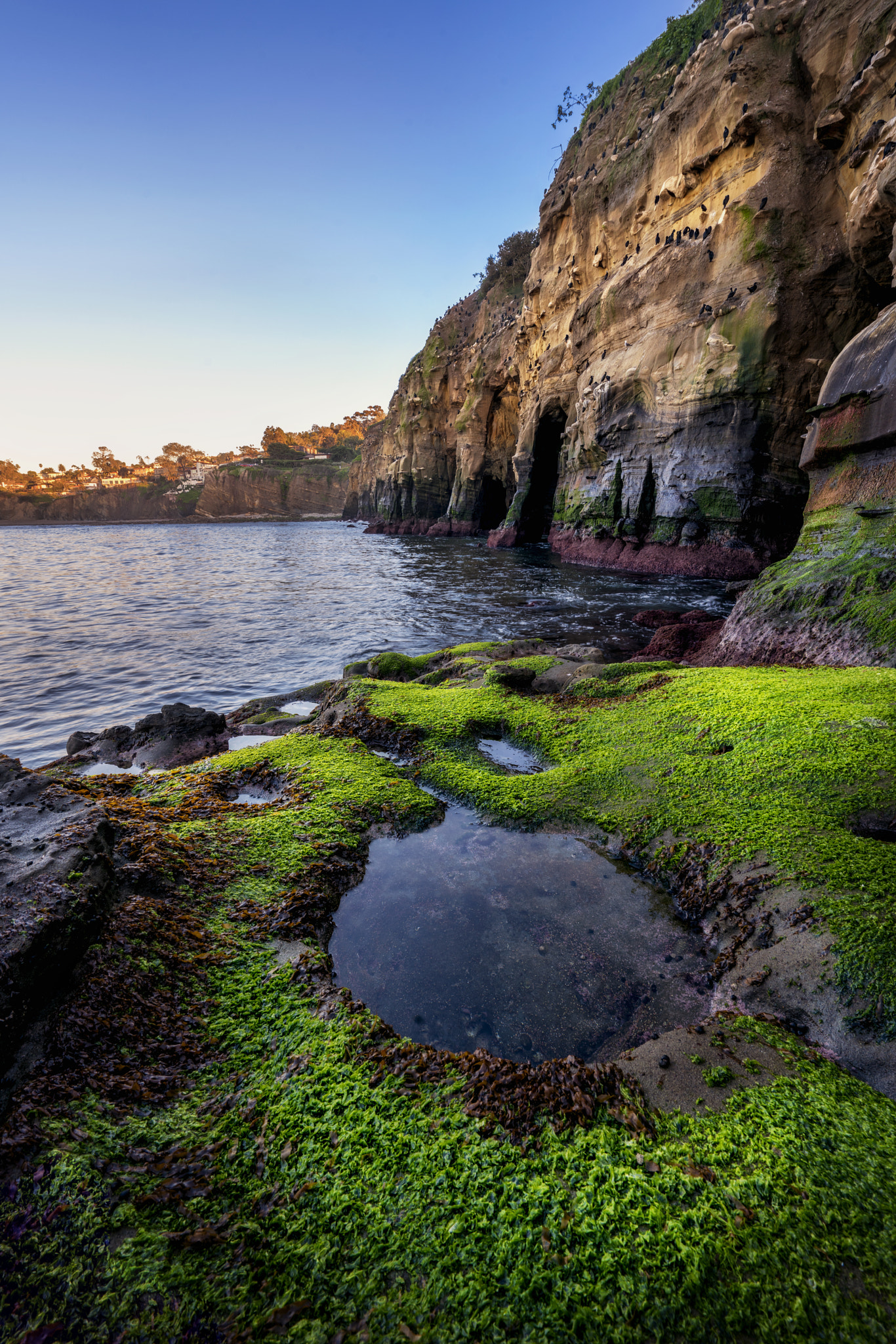 Sony a7R II + Sony Vario-Tessar T* FE 16-35mm F4 ZA OSS sample photo. La jolla caverns photography
