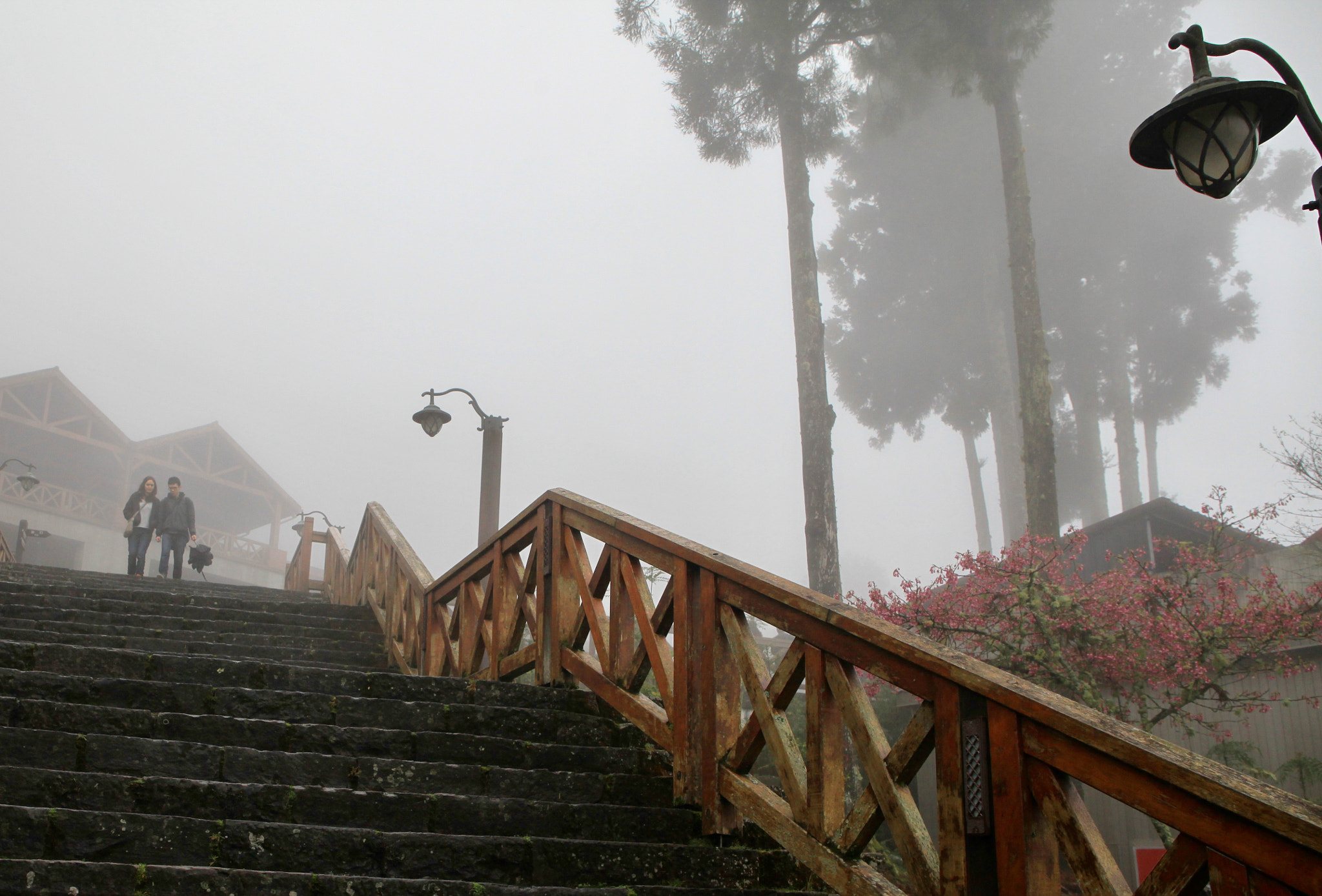Canon EF 24-70mm F4L IS USM sample photo. Mountain fog photography