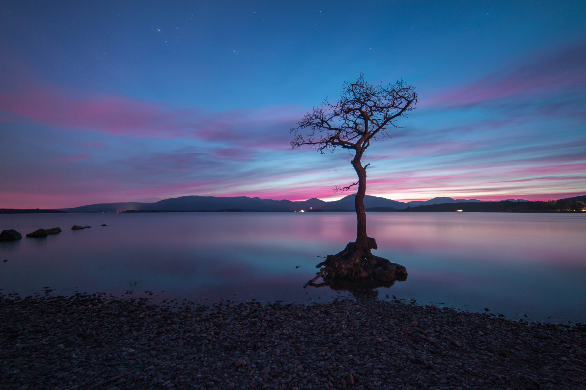 Samyang 14mm F2.8 ED AS IF UMC sample photo. The "special tree" loch lomond scotland photography