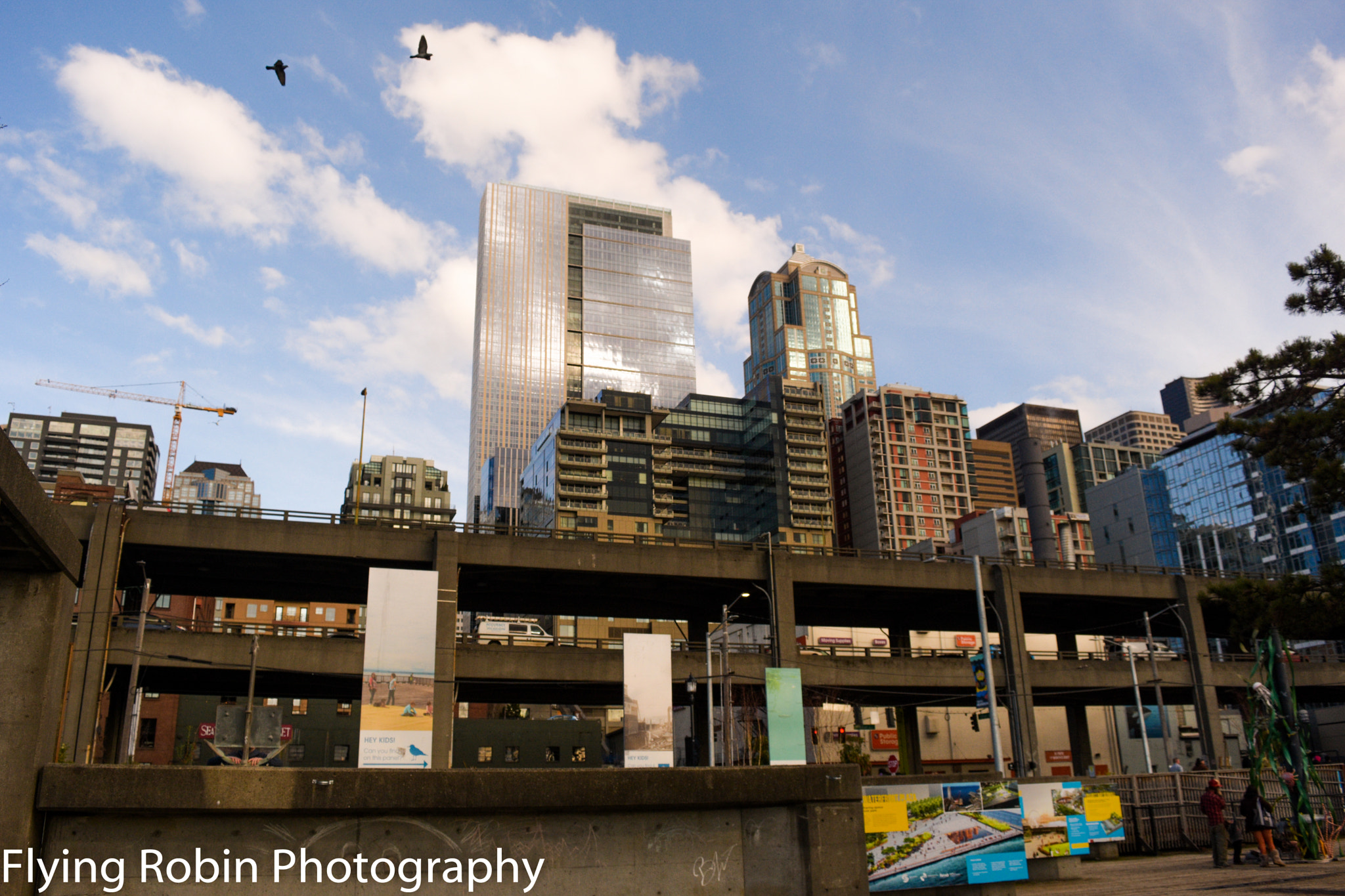 Nikon D7200 sample photo. Seattle, wa photography