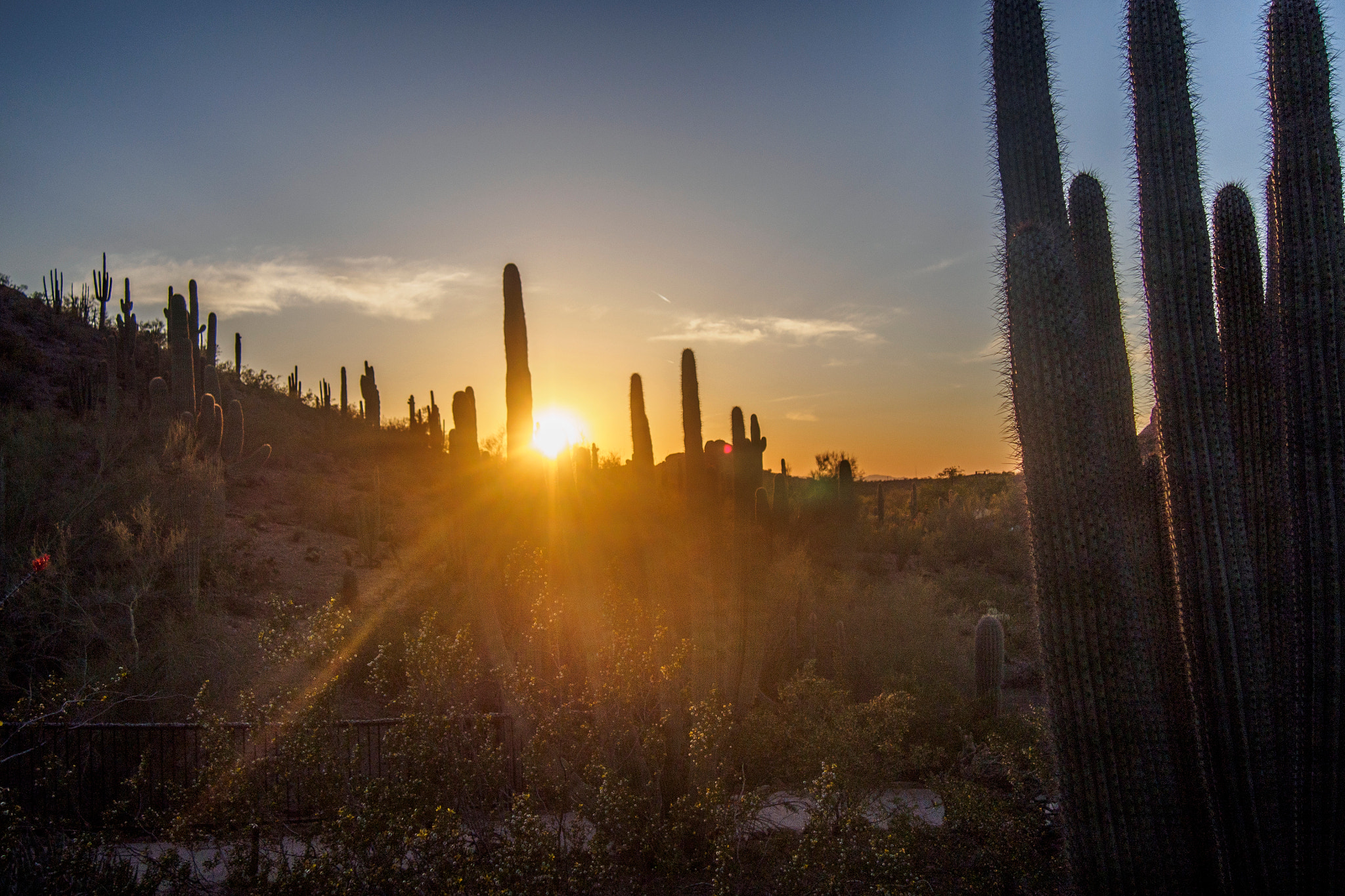 Olympus OM-D E-M5 sample photo. Desert sunset photography