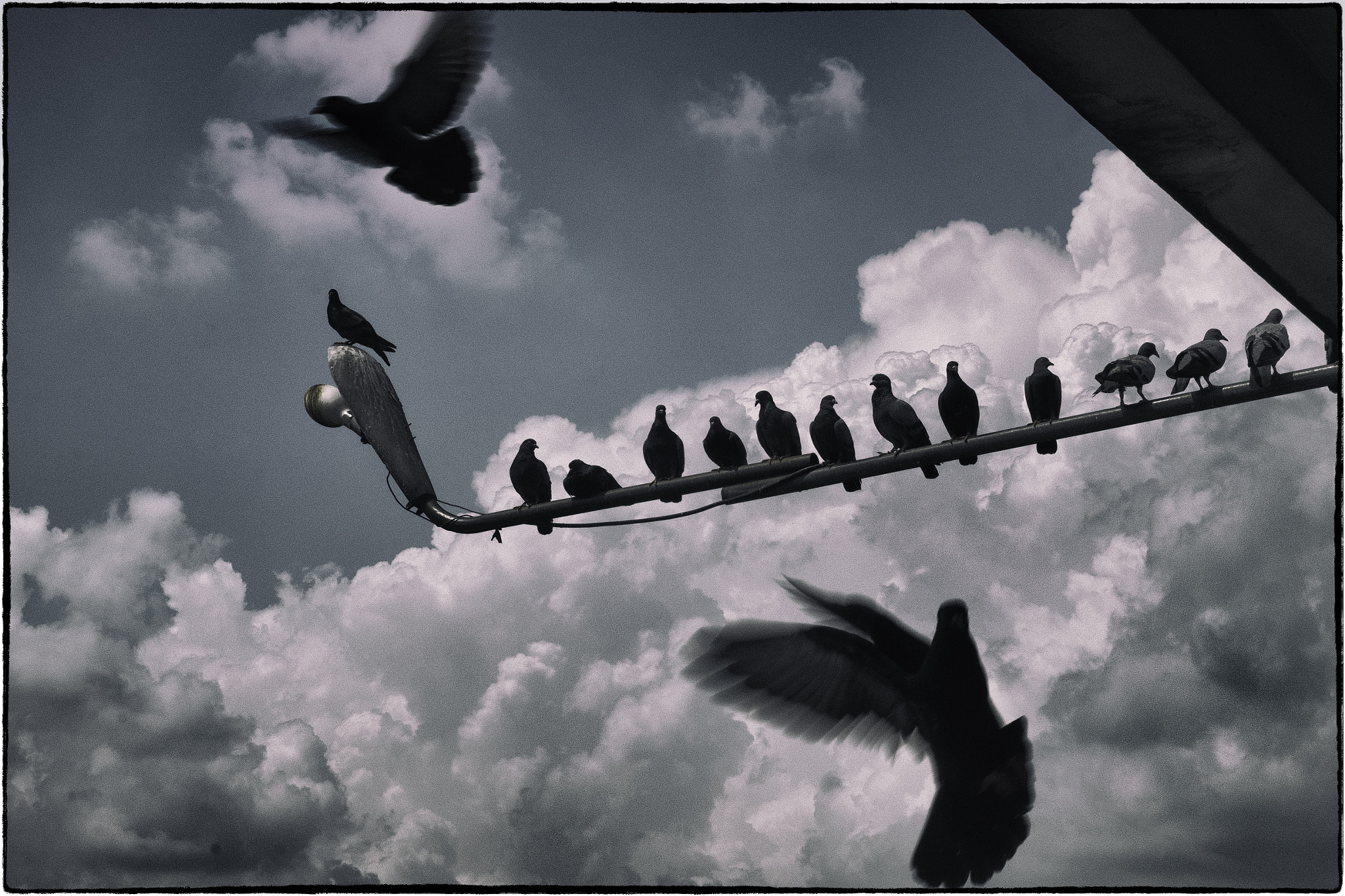 Fujifilm XF 18-55mm F2.8-4 R LM OIS sample photo. Pigeons scatter above a ferry pier, bangkok. photography