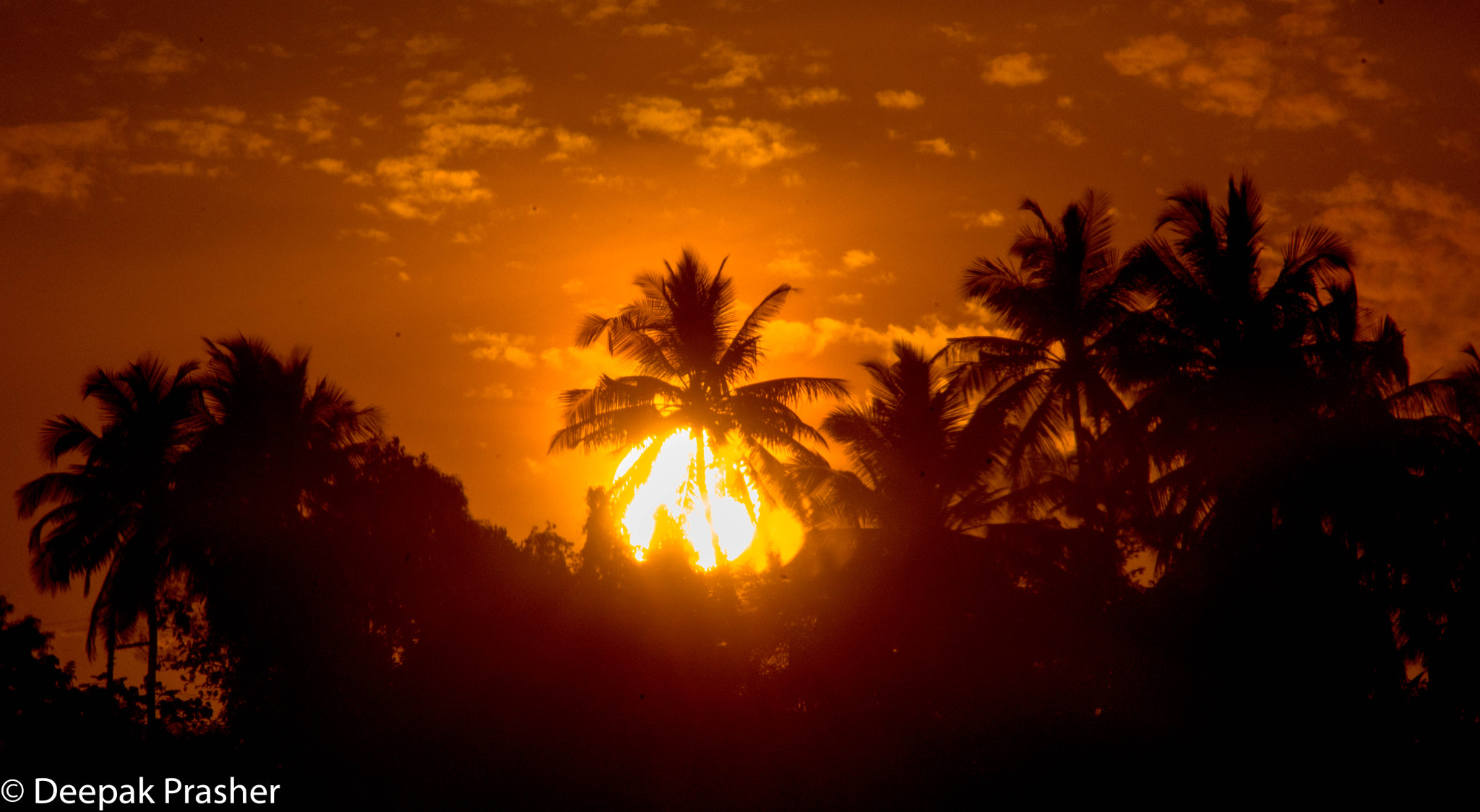 Nikon D800 sample photo. Sunset from the train photography
