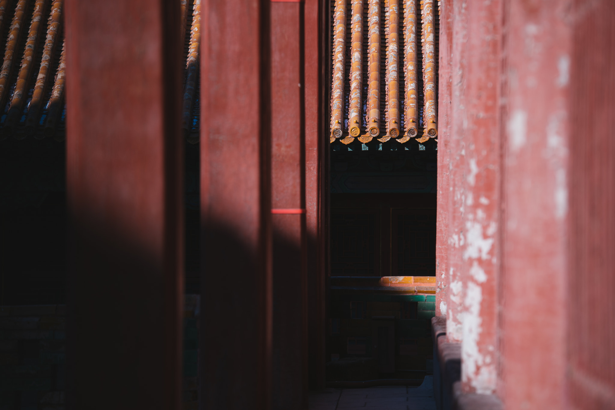 Nikon D750 + Sigma 70-200mm F2.8 EX DG OS HSM sample photo. Stray cat of the forbidden city photography