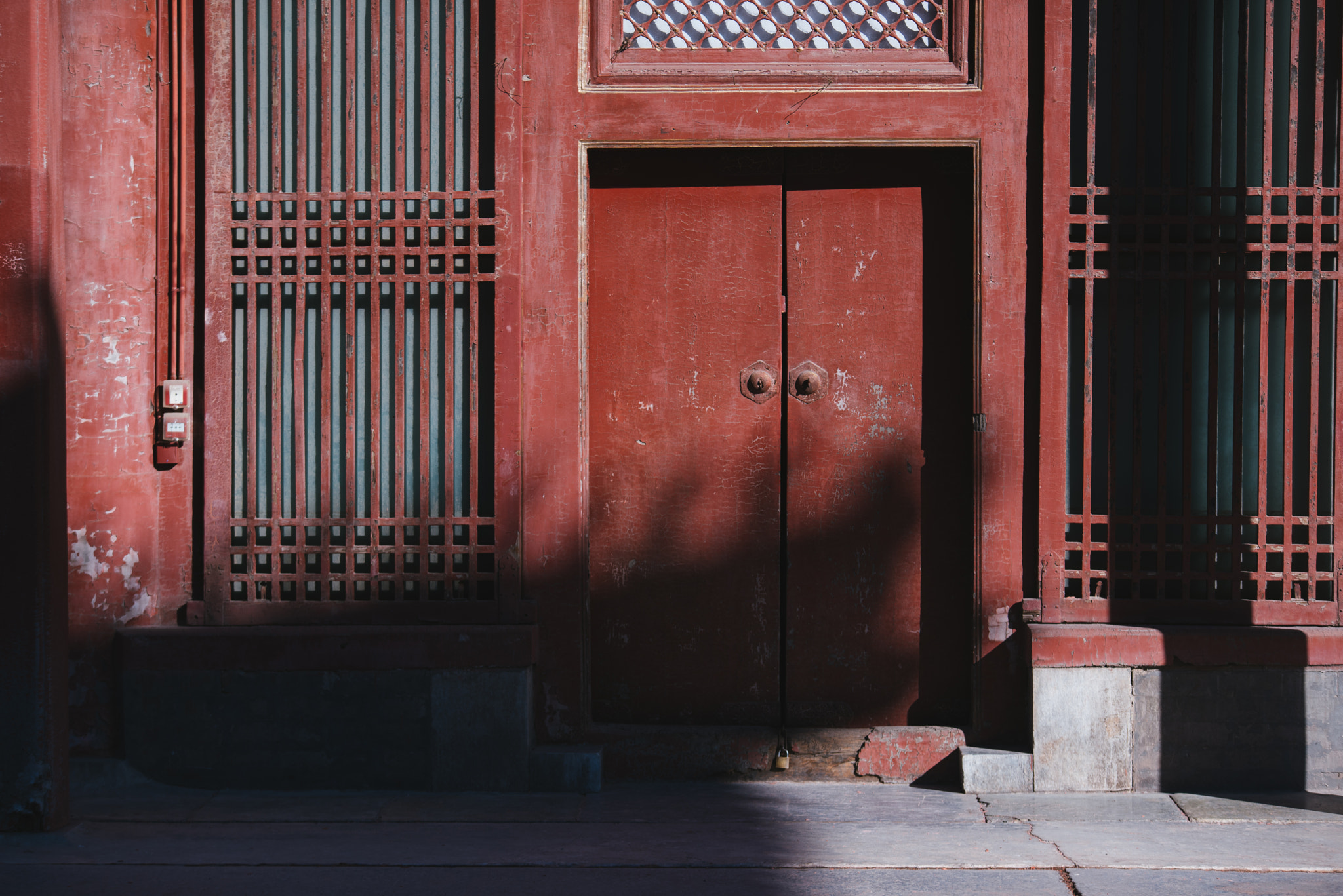 Nikon D750 + Sigma 70-200mm F2.8 EX DG OS HSM sample photo. Stray cat of the forbidden city photography