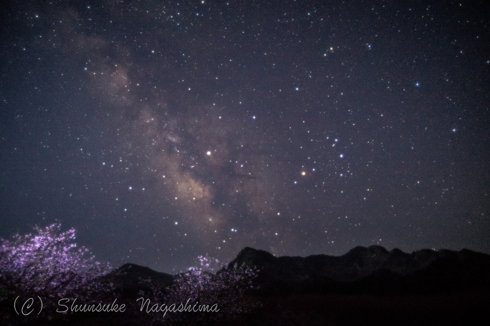 Pentax K-3 sample photo. Cherry blossoms and milky way photography