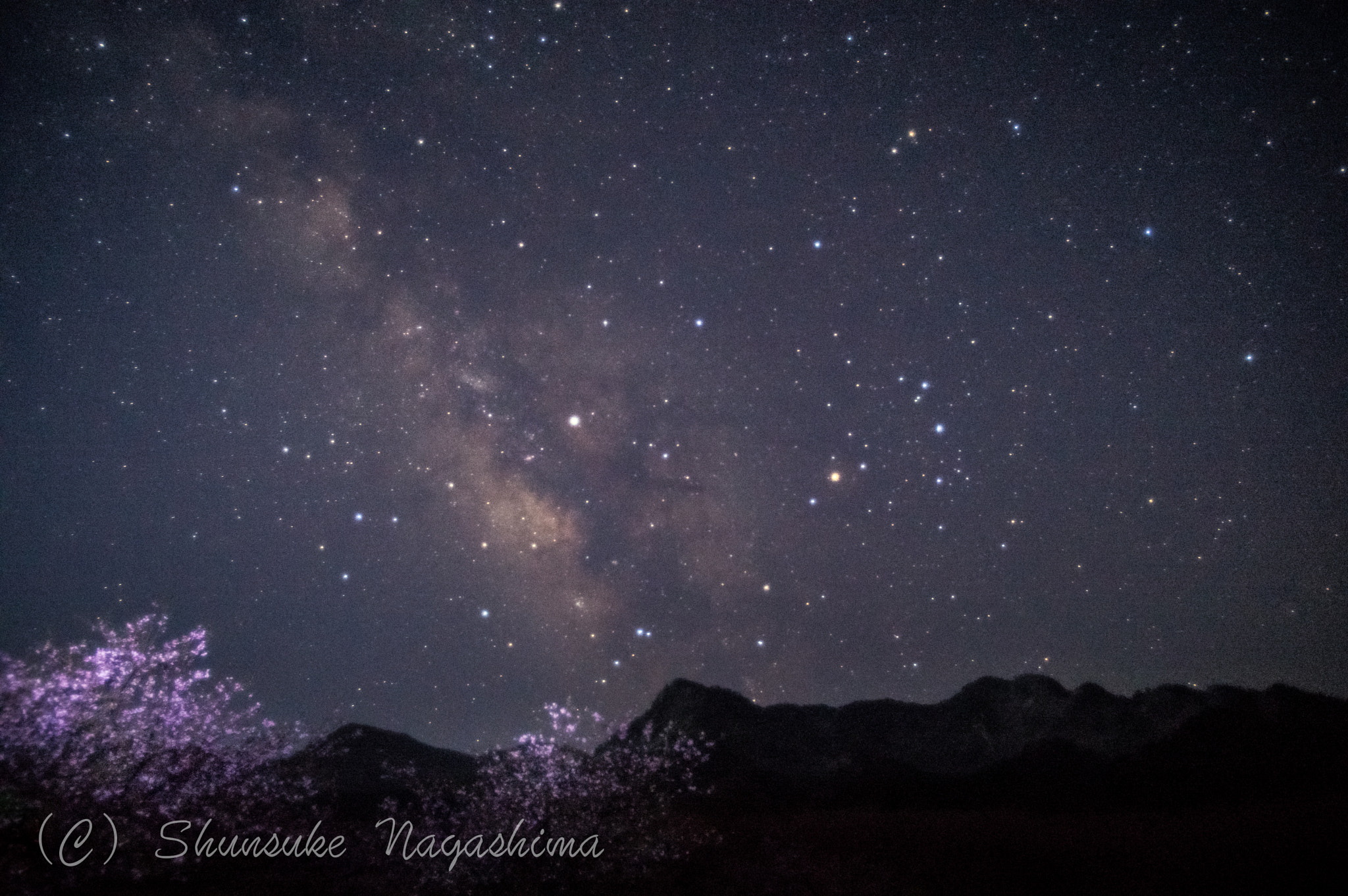 Pentax smc DA 14mm F2.8 ED (IF) sample photo. Cherry blossoms and milky way photography