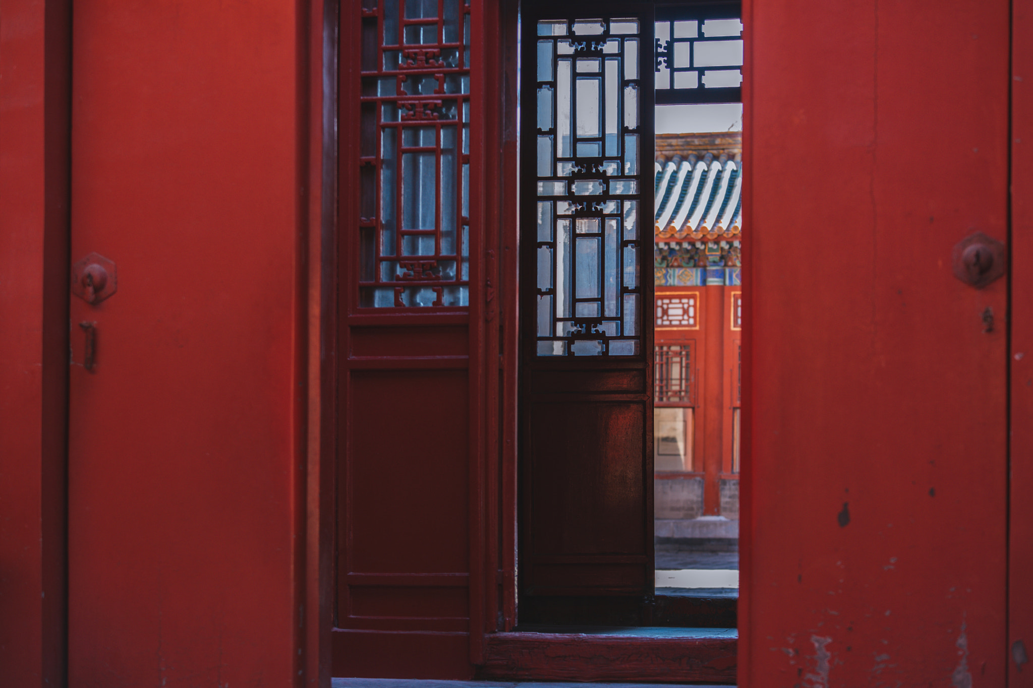 Nikon D750 sample photo. Stray cat of the forbidden city photography