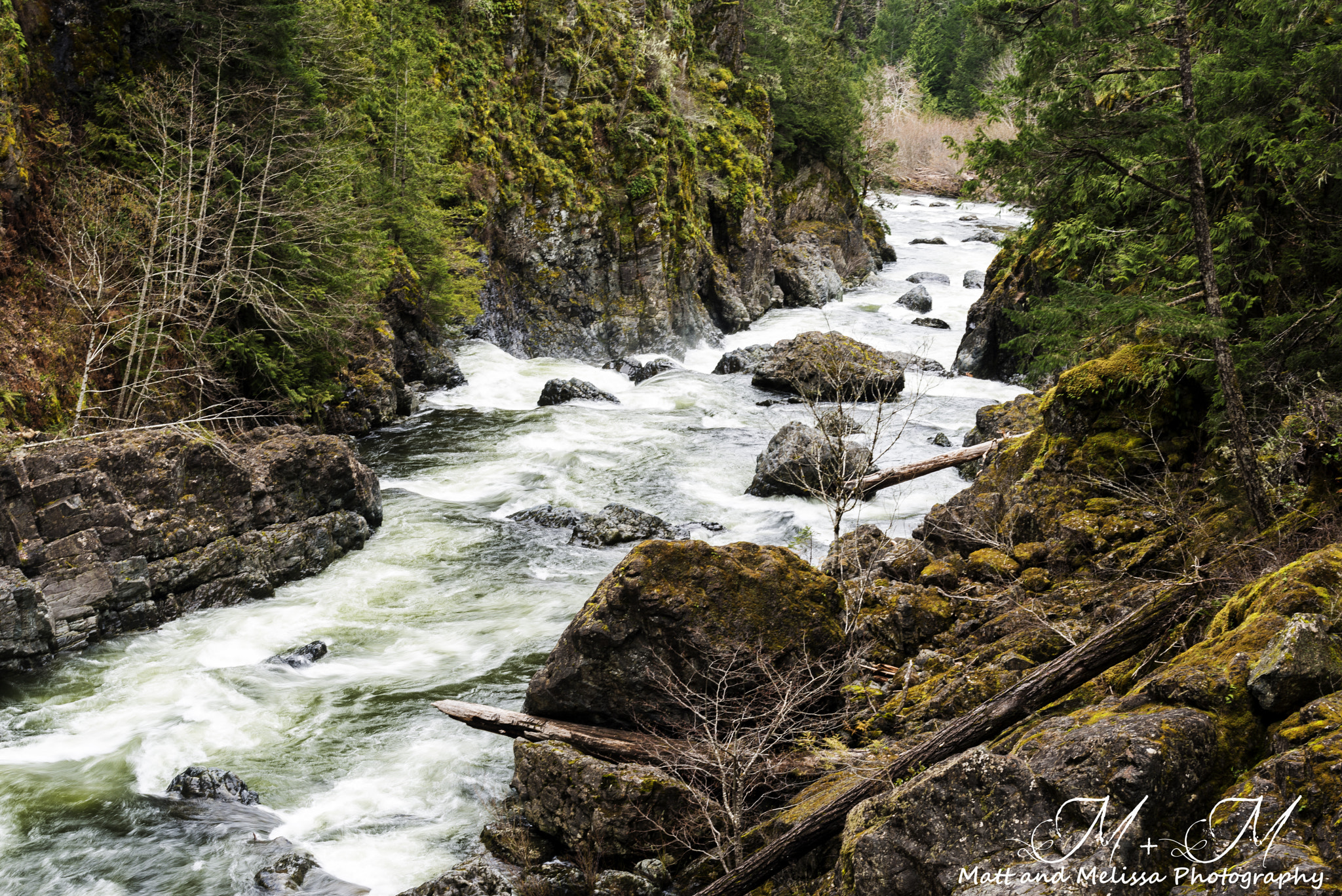Nikon D800 sample photo. Sooke potholes photography