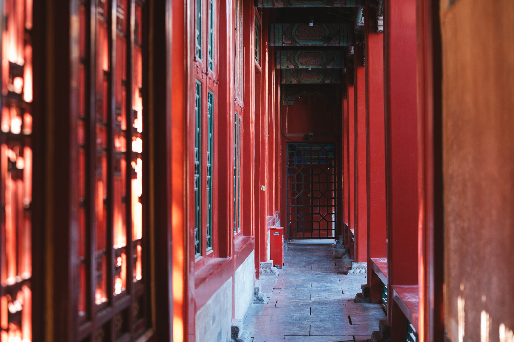 Nikon D750 sample photo. Stray cat of the forbidden city photography