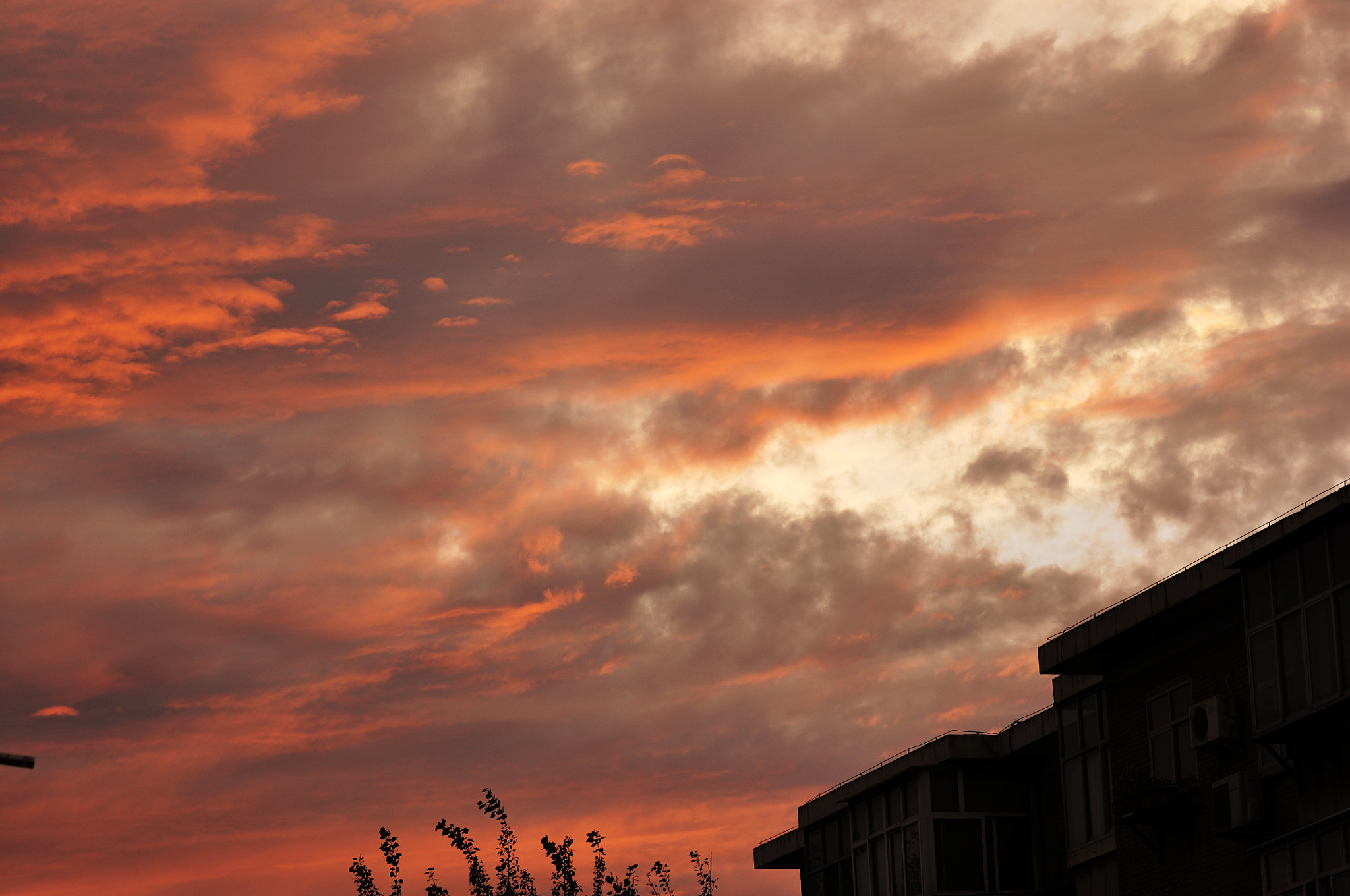 Nikon AF-S Nikkor 70-200mm F2.8G ED VR II sample photo. () photography