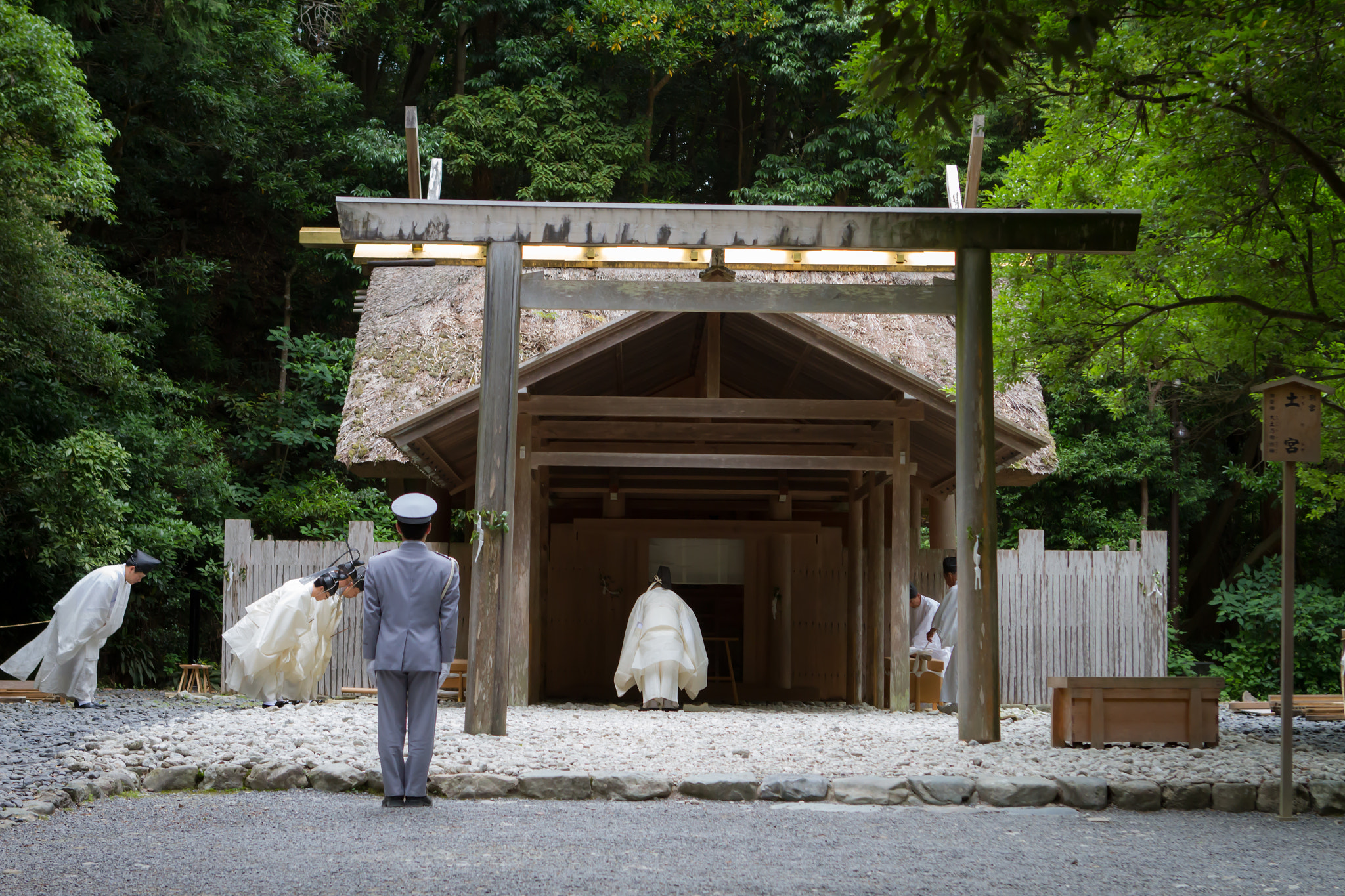 Canon EOS 7D + Canon EF 24-70mm F2.8L USM sample photo. Img photography
