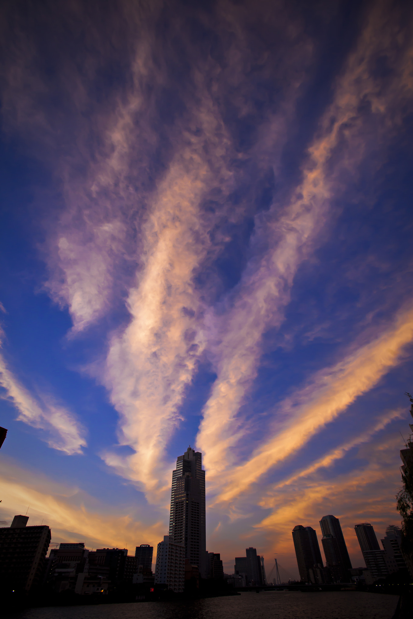 Canon EF 16-35mm F2.8L USM sample photo. Img photography