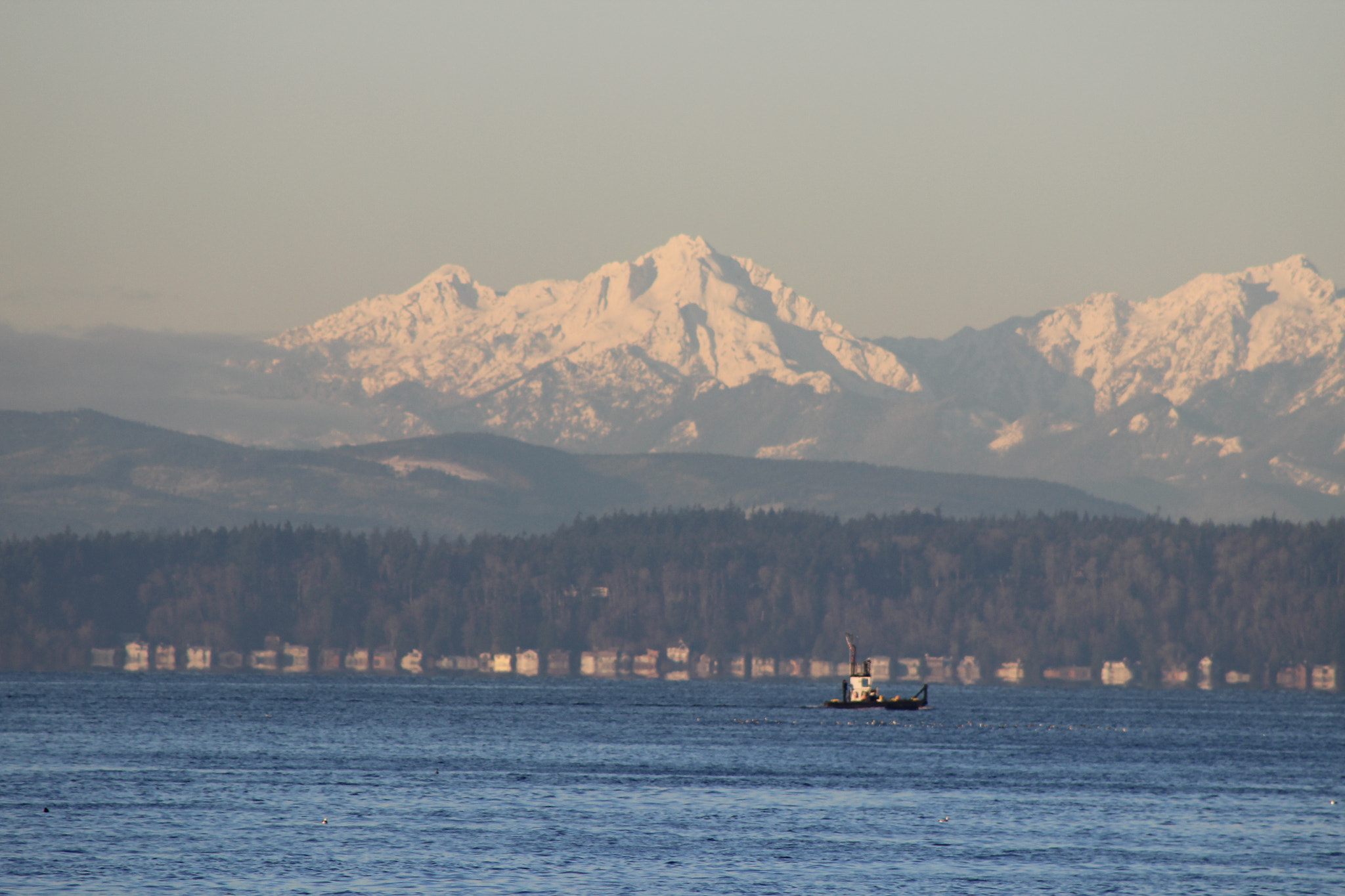 Canon EF 75-300mm f/4-5.6 USM sample photo. Img photography