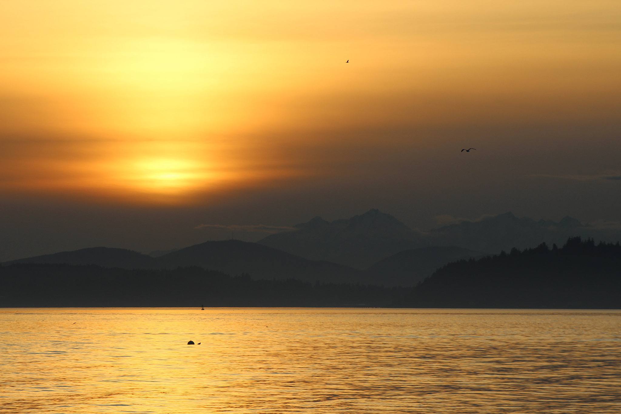 Canon EF 75-300mm f/4-5.6 USM sample photo. Img photography